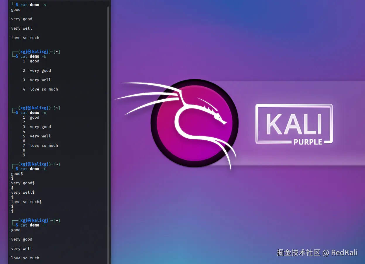 RedKali于2026-01-11 13:34发布的图片