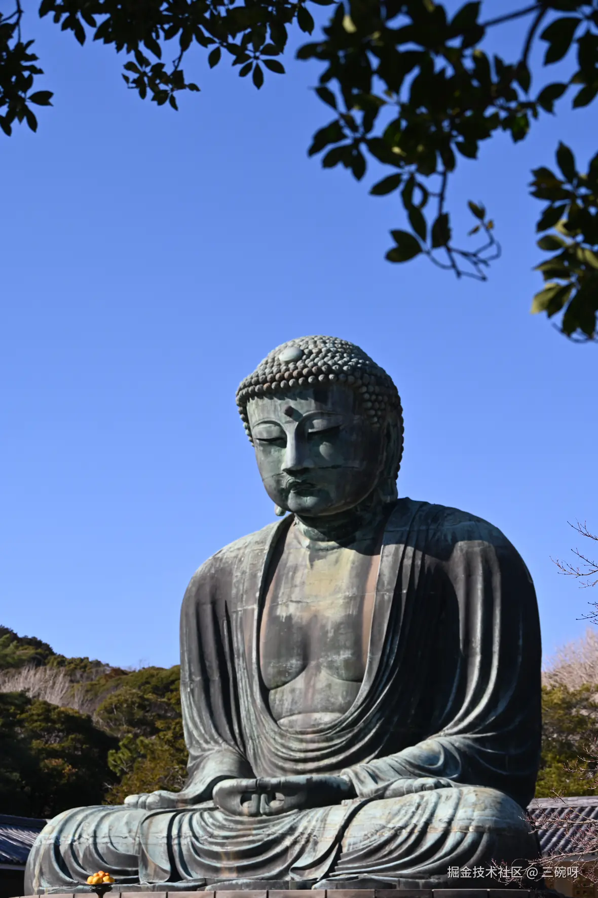 三碗呀于2025-03-31 13:46发布的图片