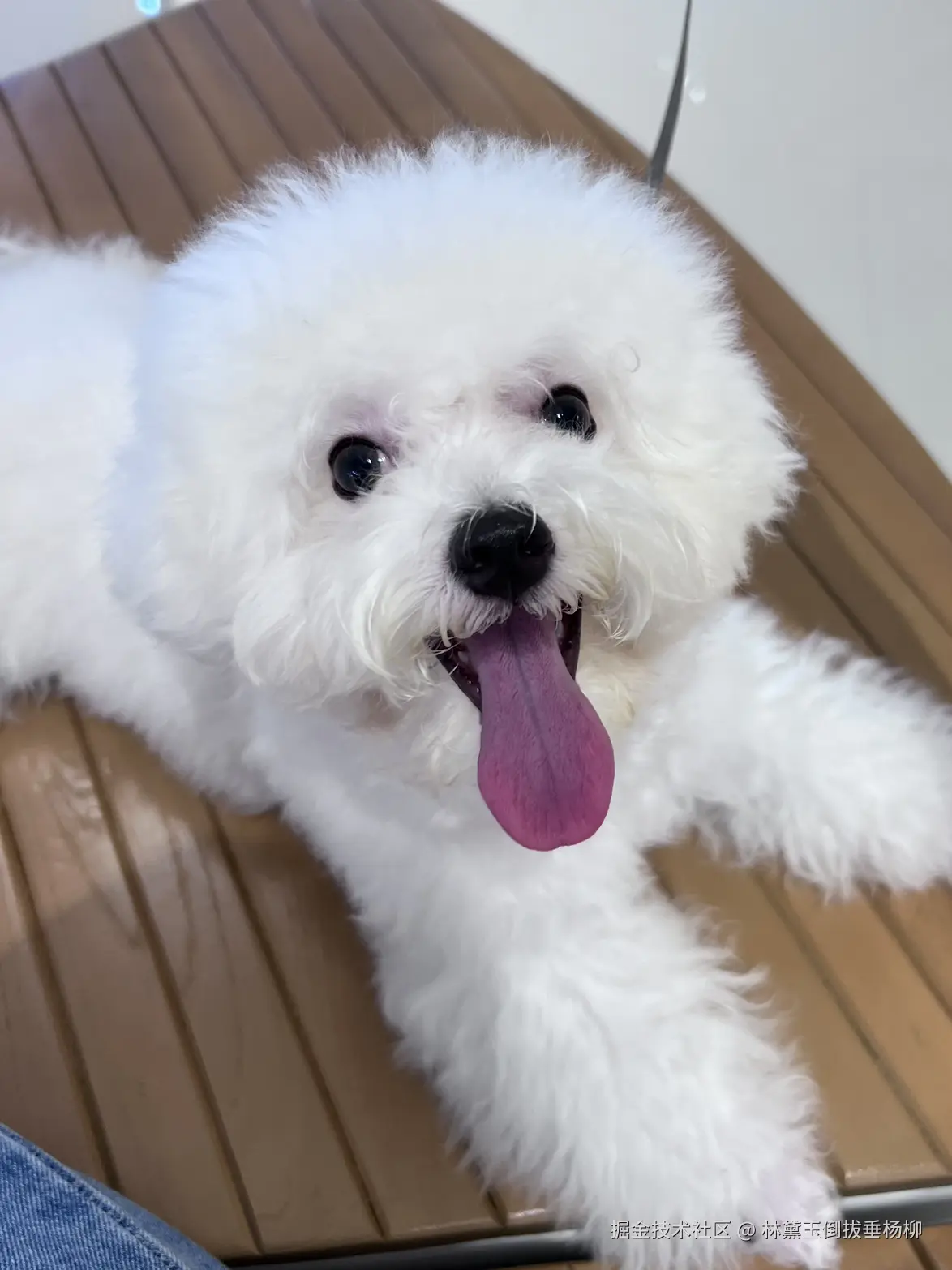 林黛玉倒拔垂杨柳于2024-09-18 17:23发布的图片