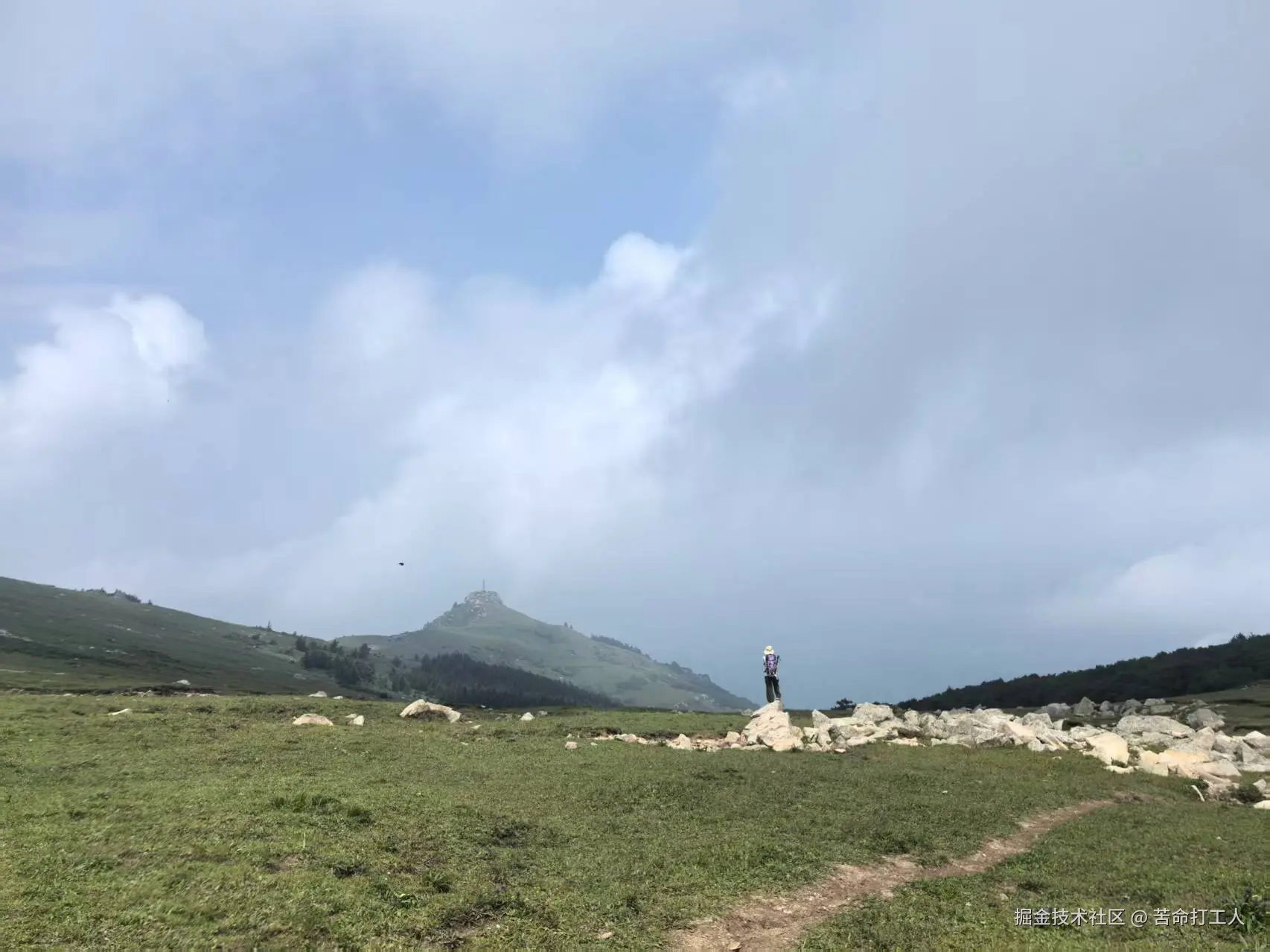 苦命打工人于2025-08-04 15:34发布的图片