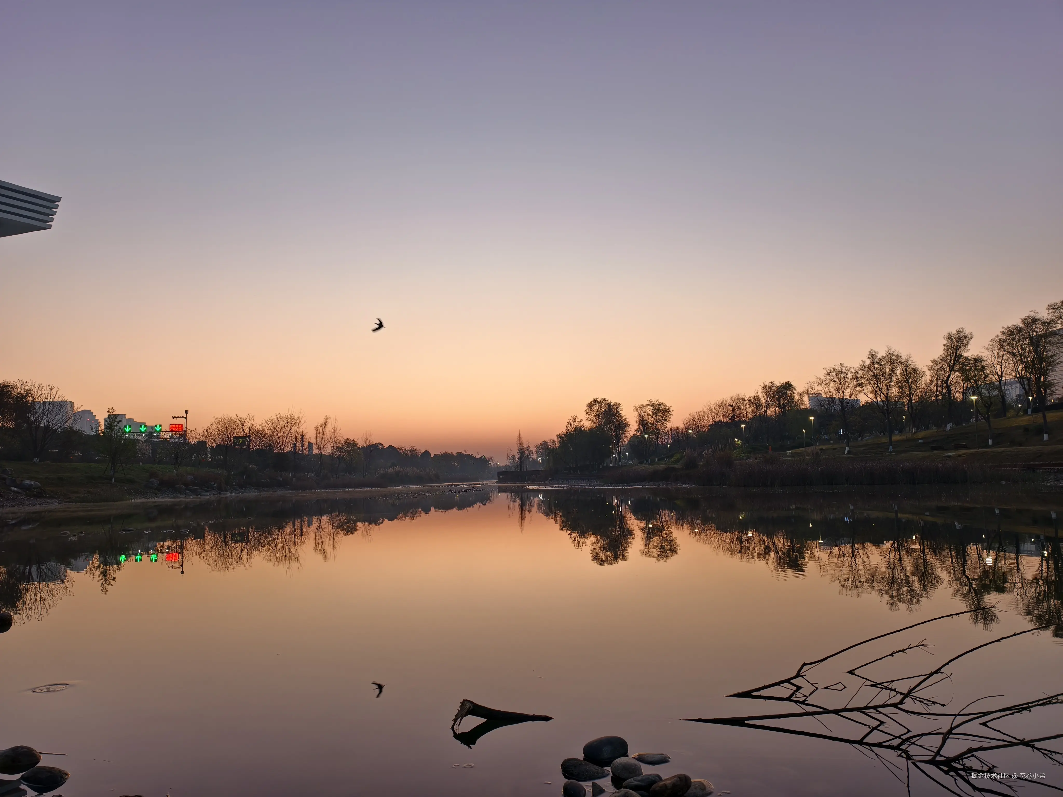 花卷小弟于2025-03-26 10:07发布的图片