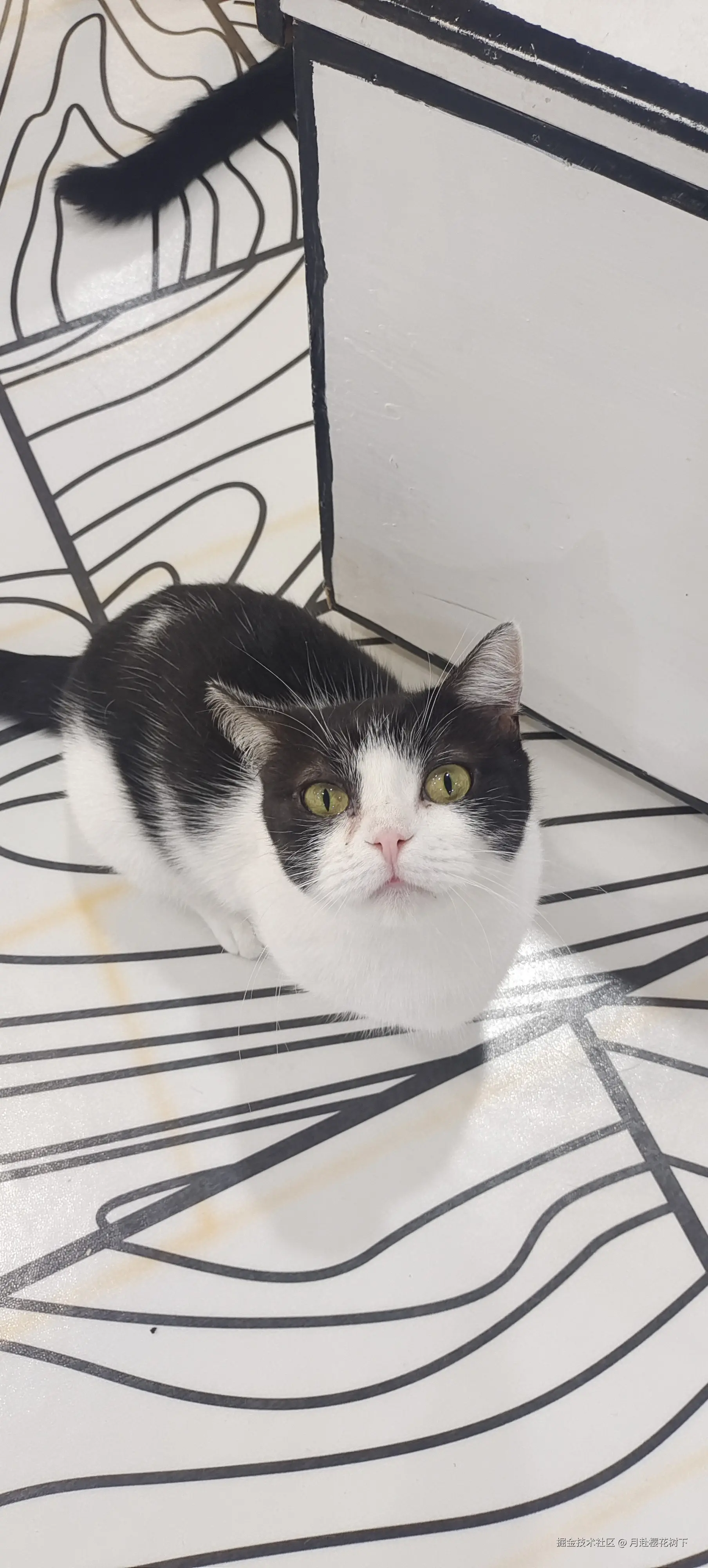 月赴樱花树下于2024-11-04 14:14发布的图片