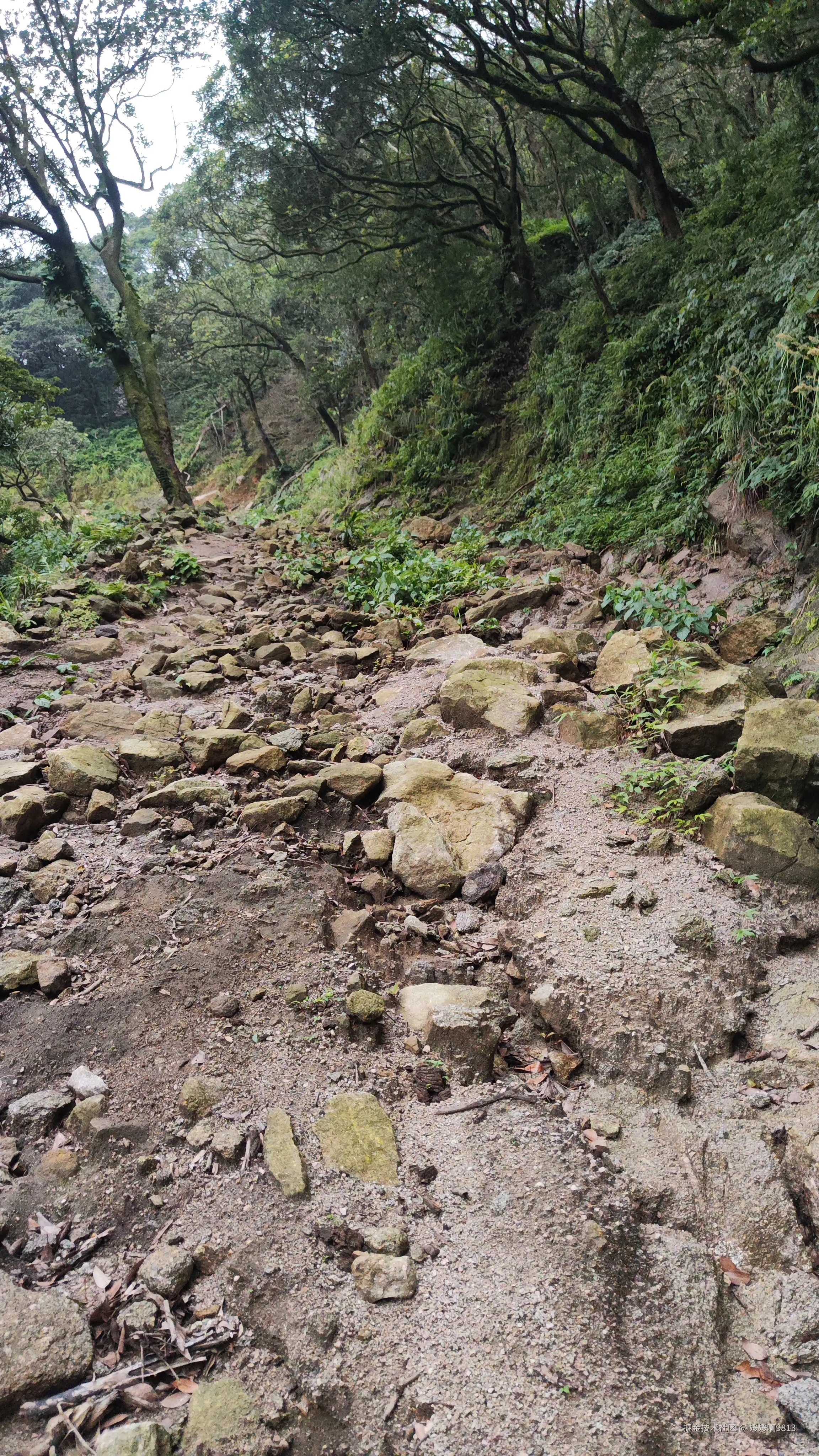 媛媛啊9813于2025-07-20 16:55发布的图片