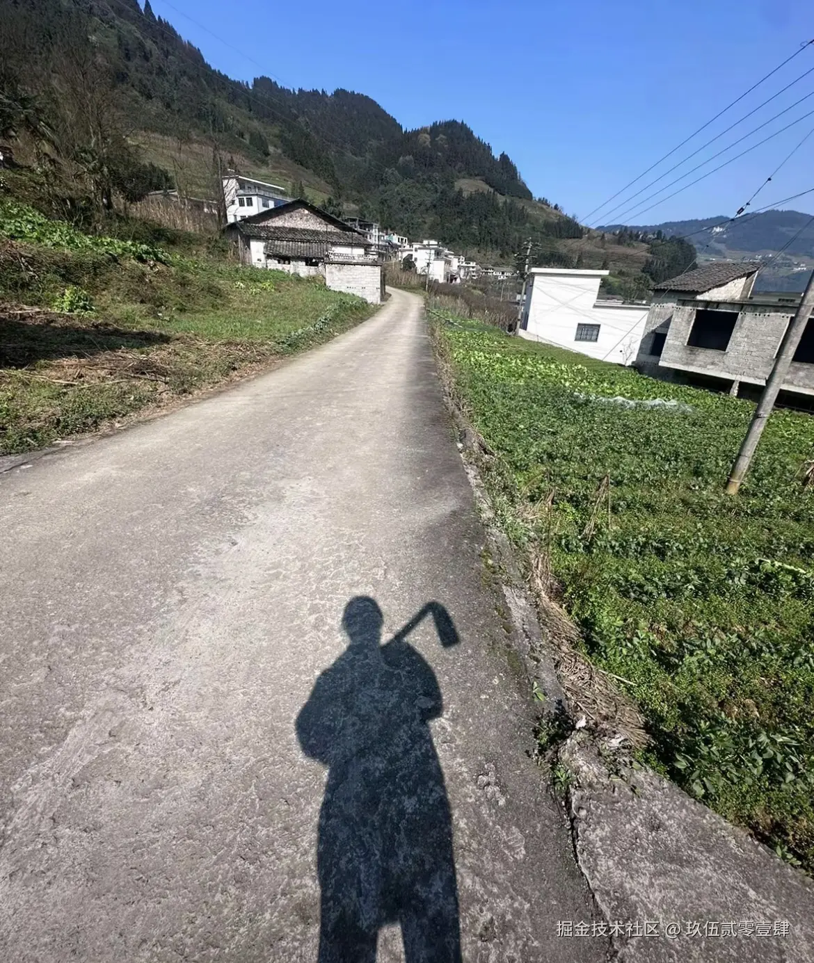 玖伍贰零壹肆于2025-03-10 02:15发布的图片