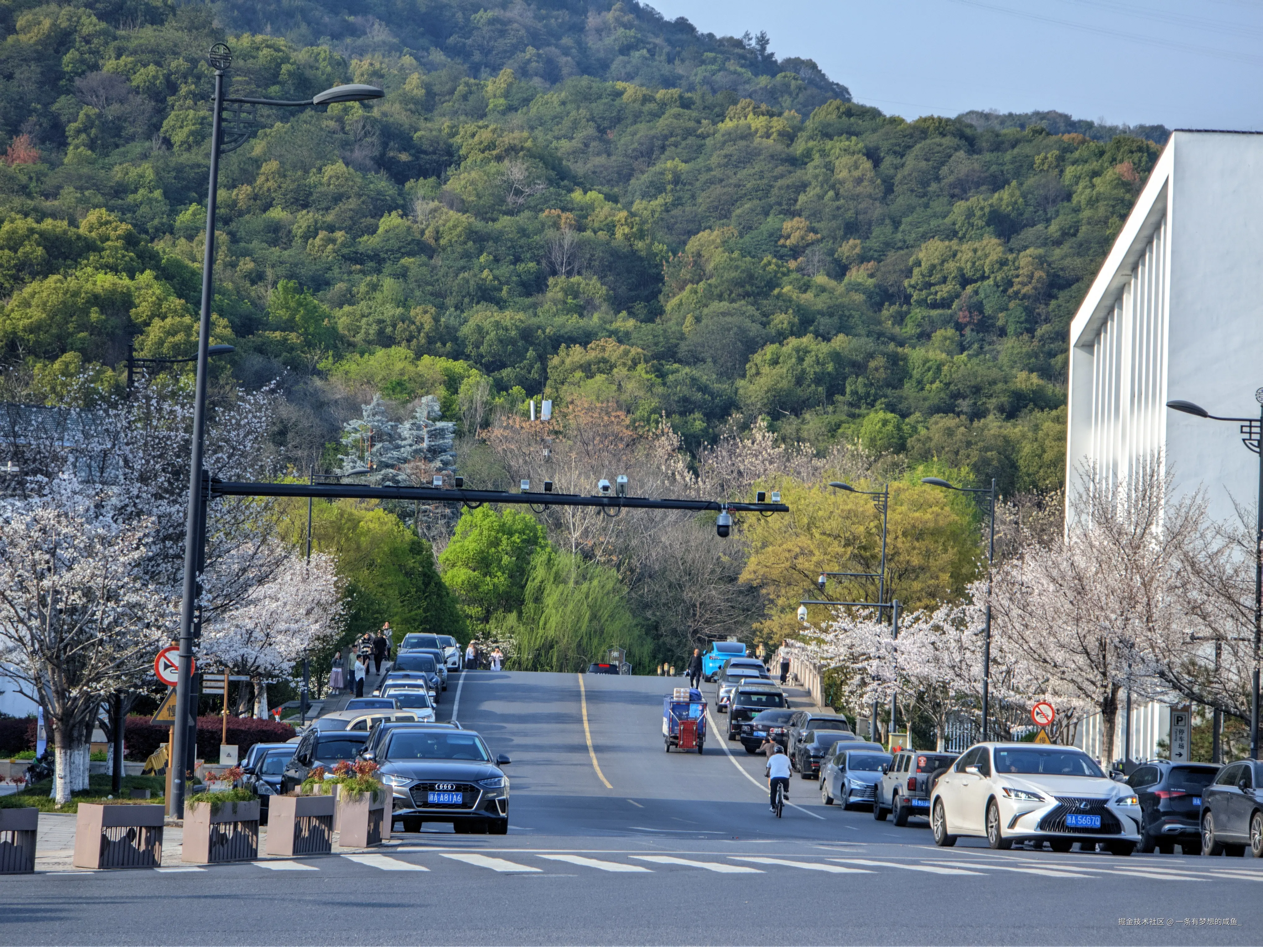 一条有梦想的咸鱼_于2026-03-31 10:53发布的图片