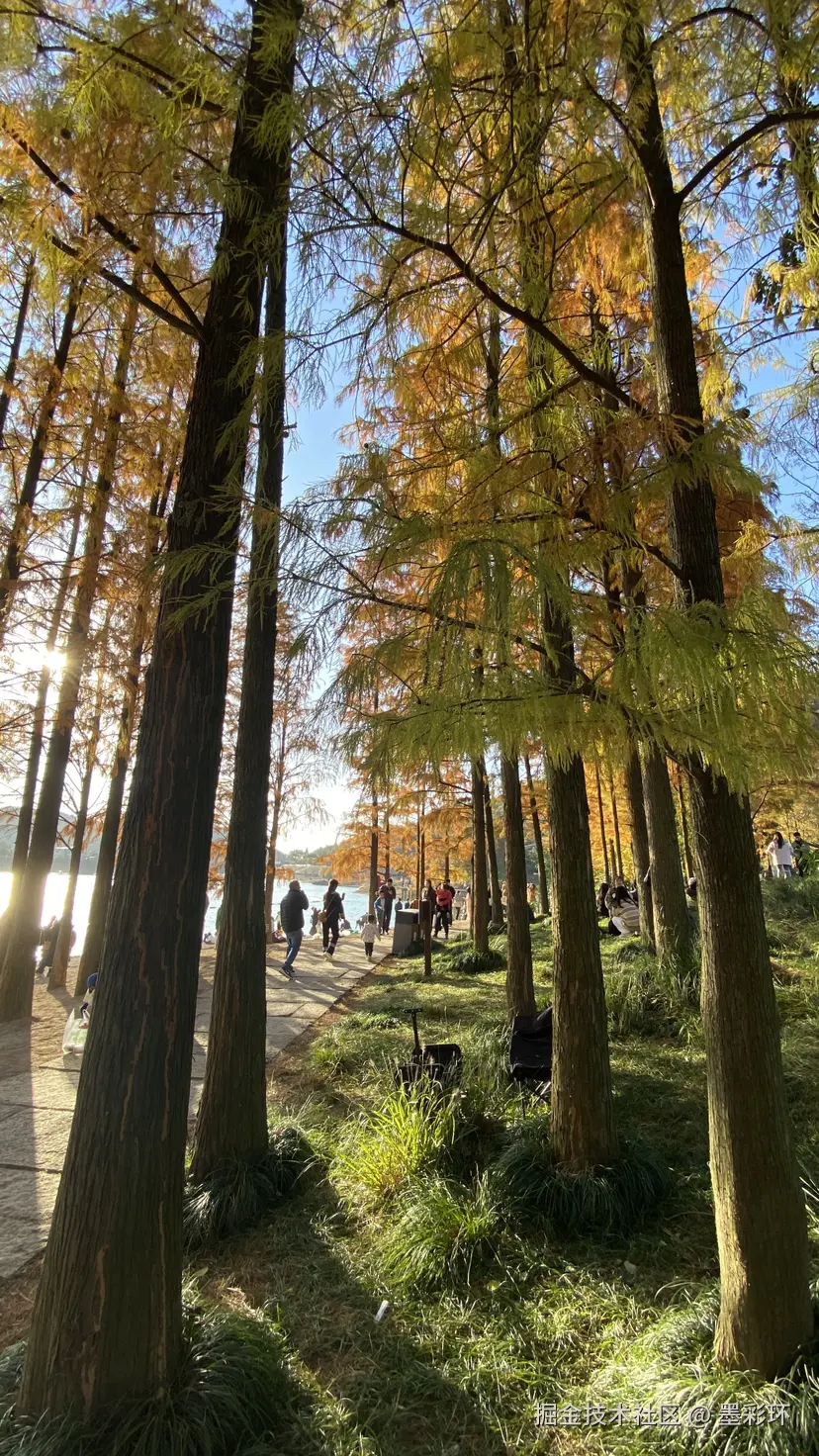 墨彩环于2024-12-02 08:09发布的图片