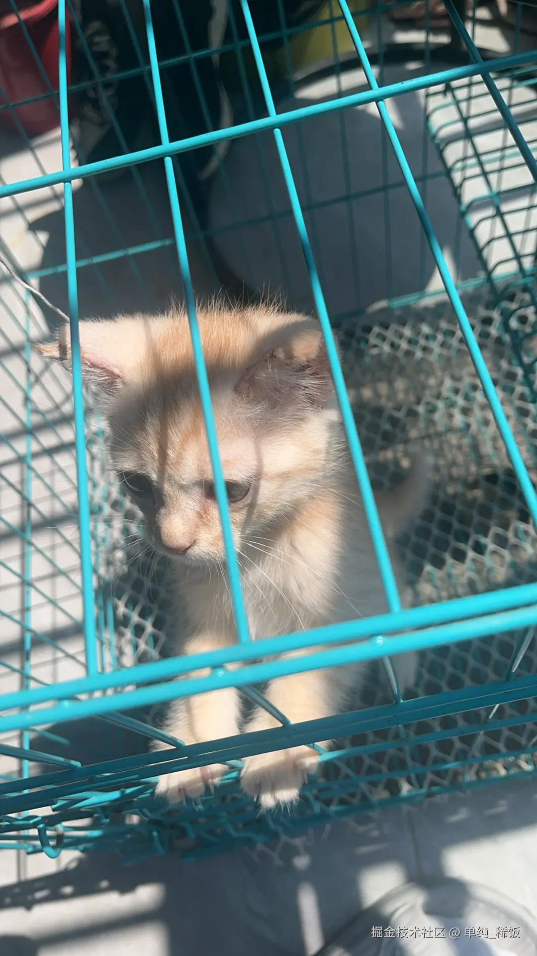 单纯_稀饭于2025-03-18 16:27发布的图片