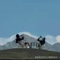 倔强的石头_于2025-05-31 09:38发布的图片