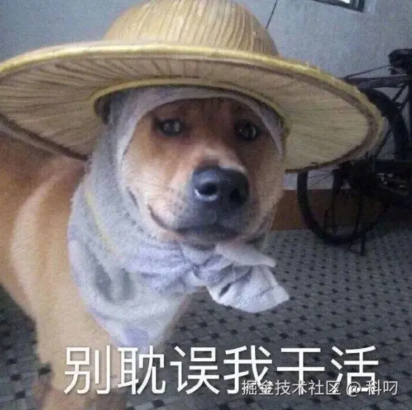 科叼于2026-09-18 06:01发布的图片