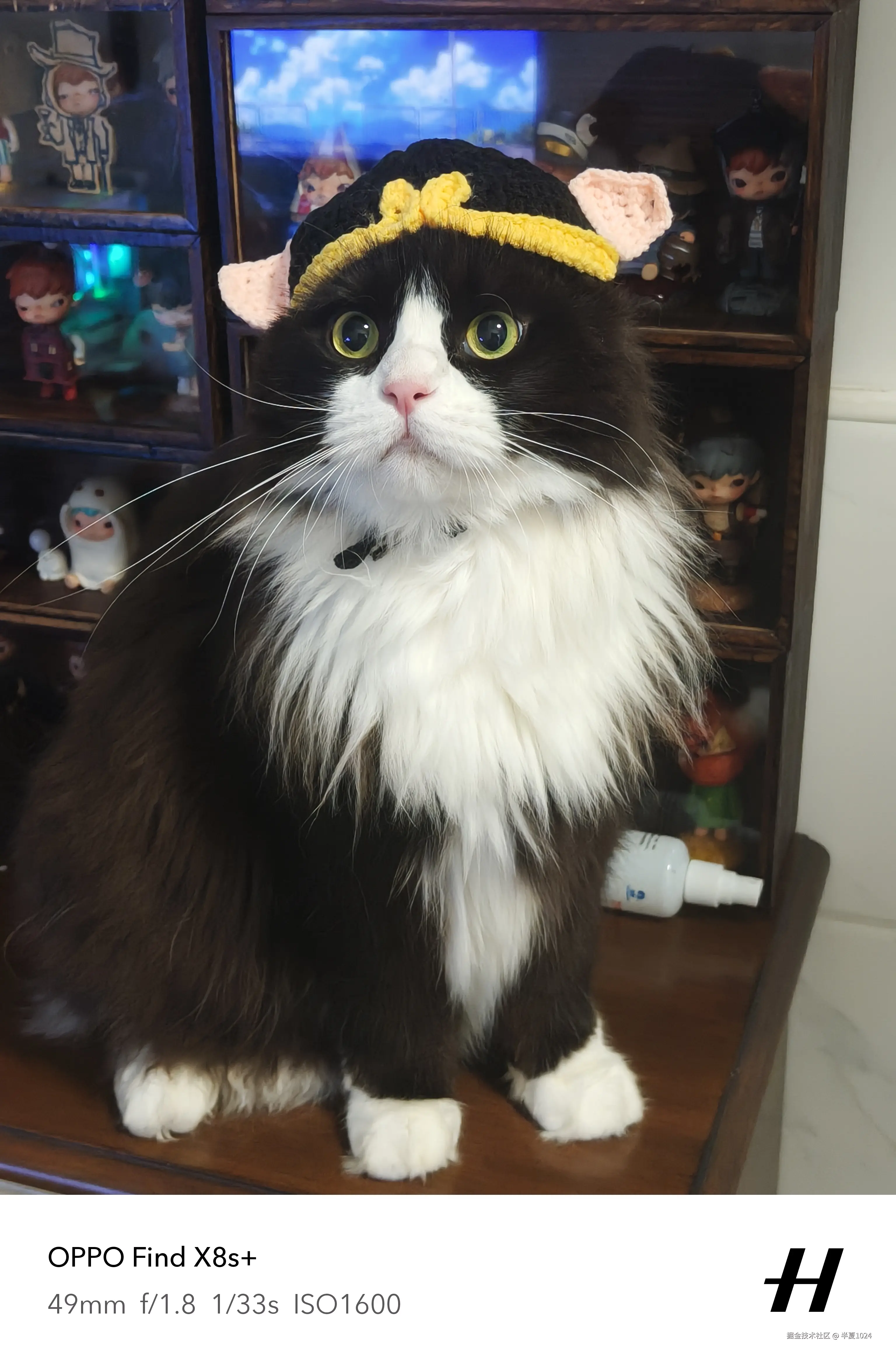 半夏1024于2025-06-25 03:23发布的图片