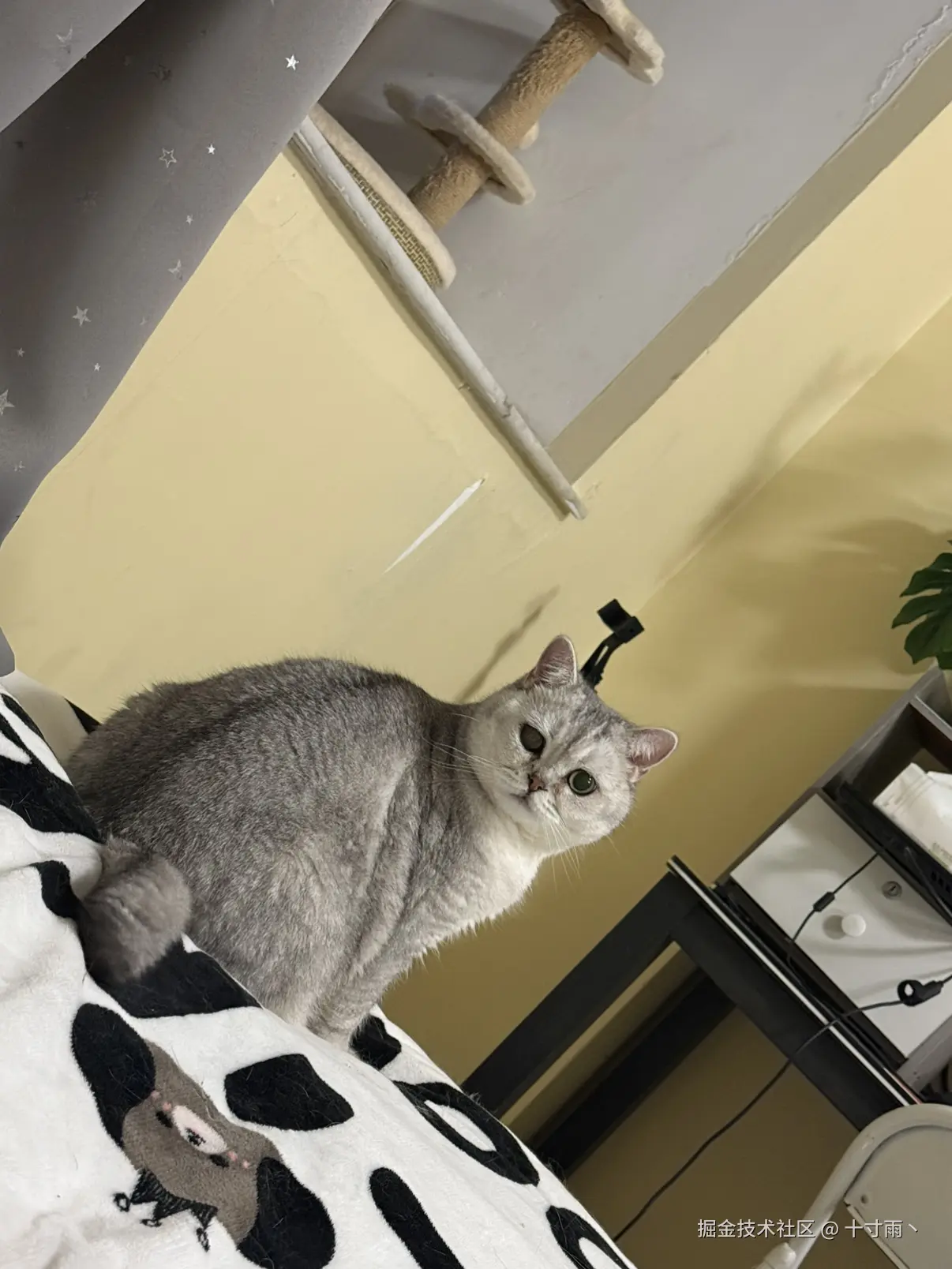 十寸雨丶于2025-11-24 10:48发布的图片