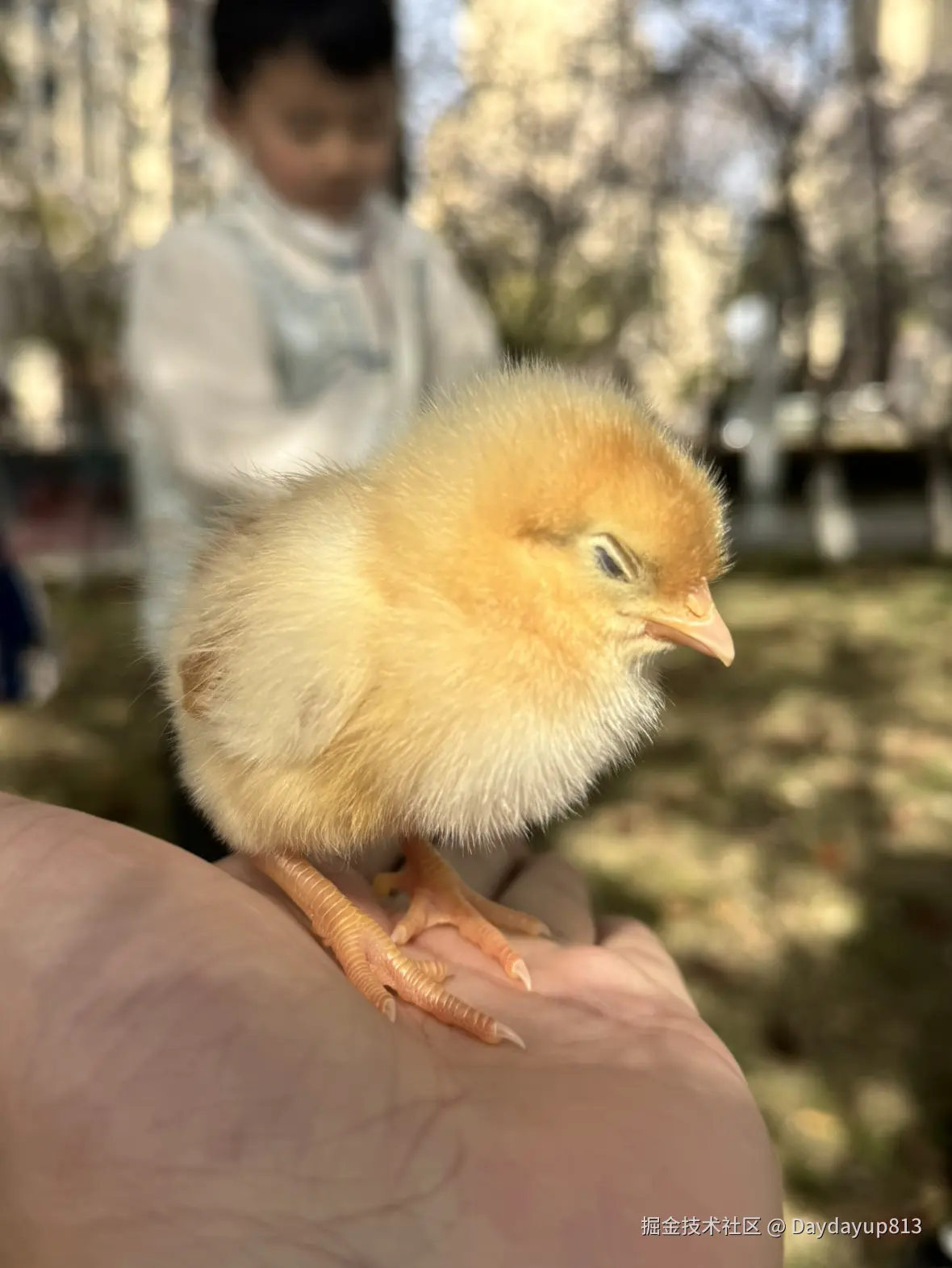 Daydayup813于2025-03-31 11:41发布的图片