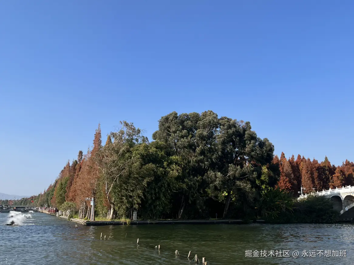 永远不想加班于2025-12-15 10:57发布的图片