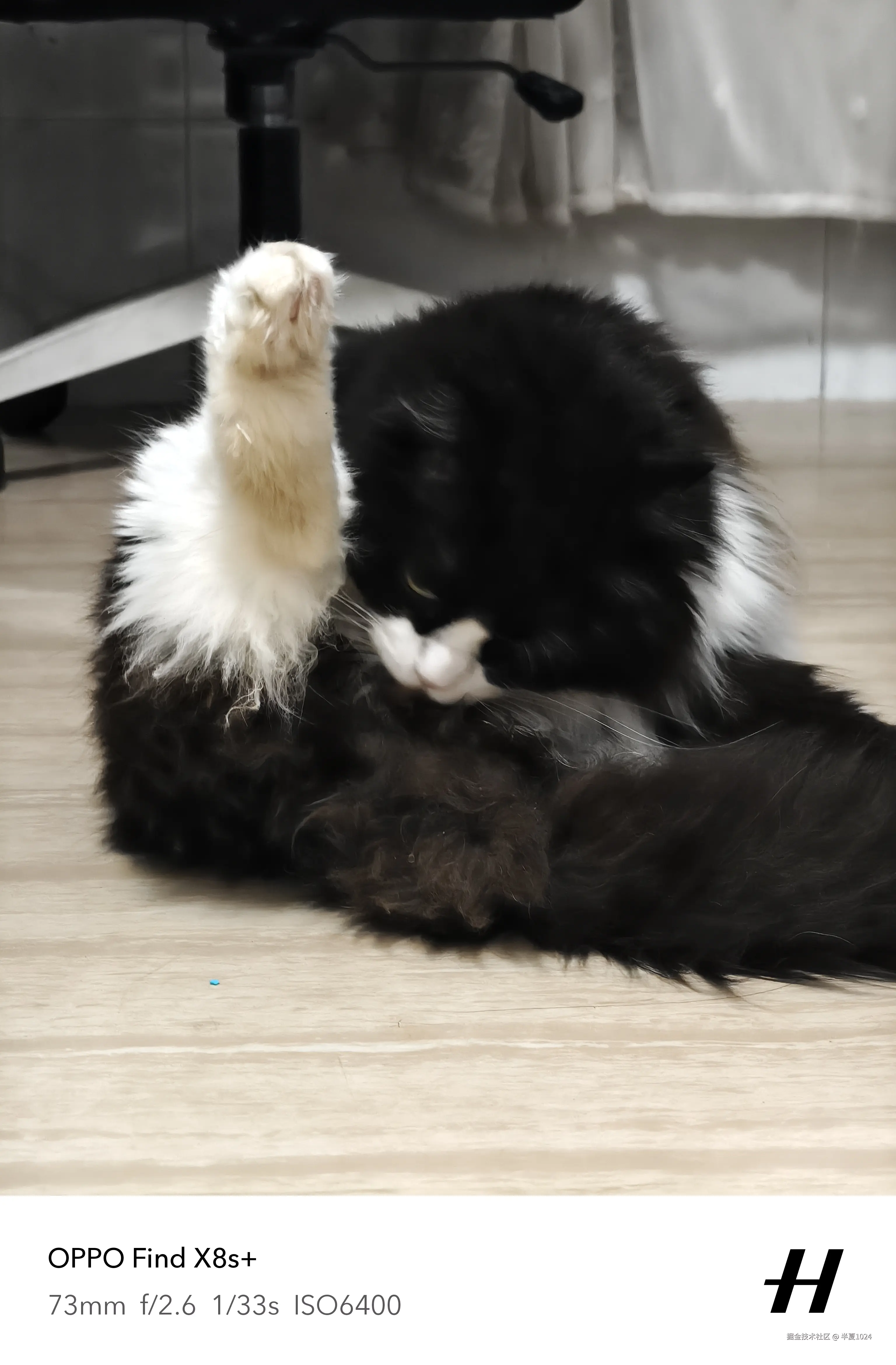 半夏1024于2025-07-02 15:38发布的图片