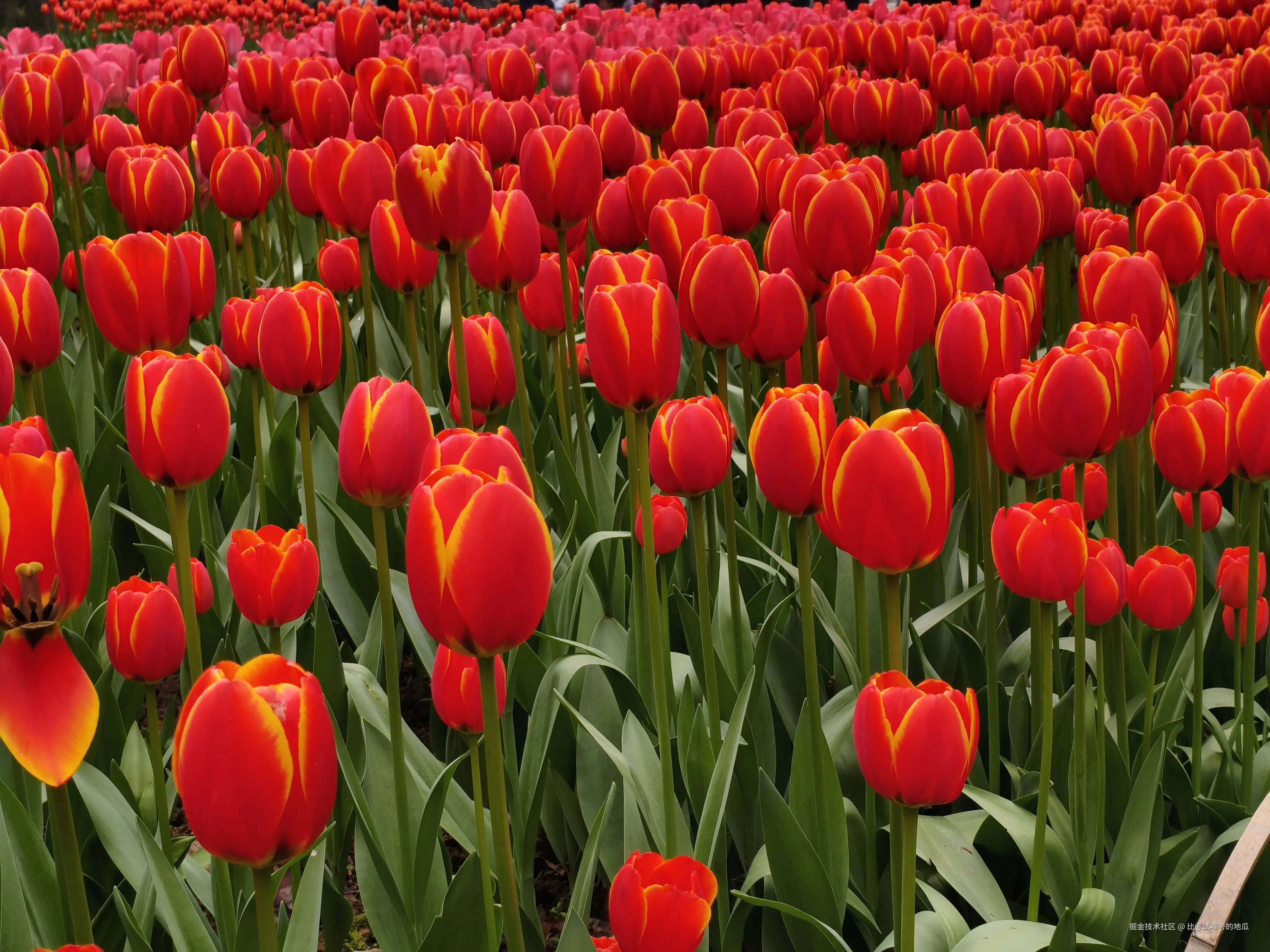 比考试难考的地瓜于2026-03-23 12:05发布的图片