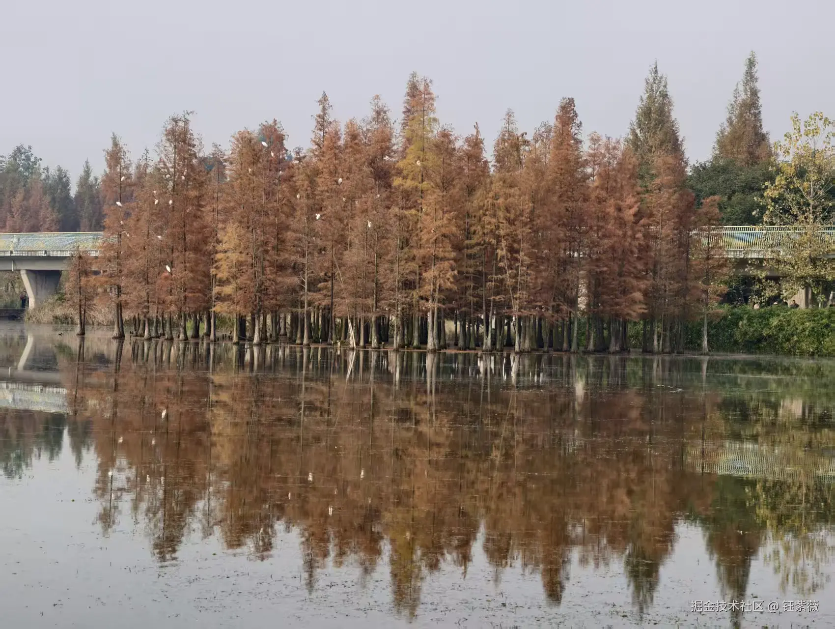 钰紫薇于2025-12-01 01:42发布的图片