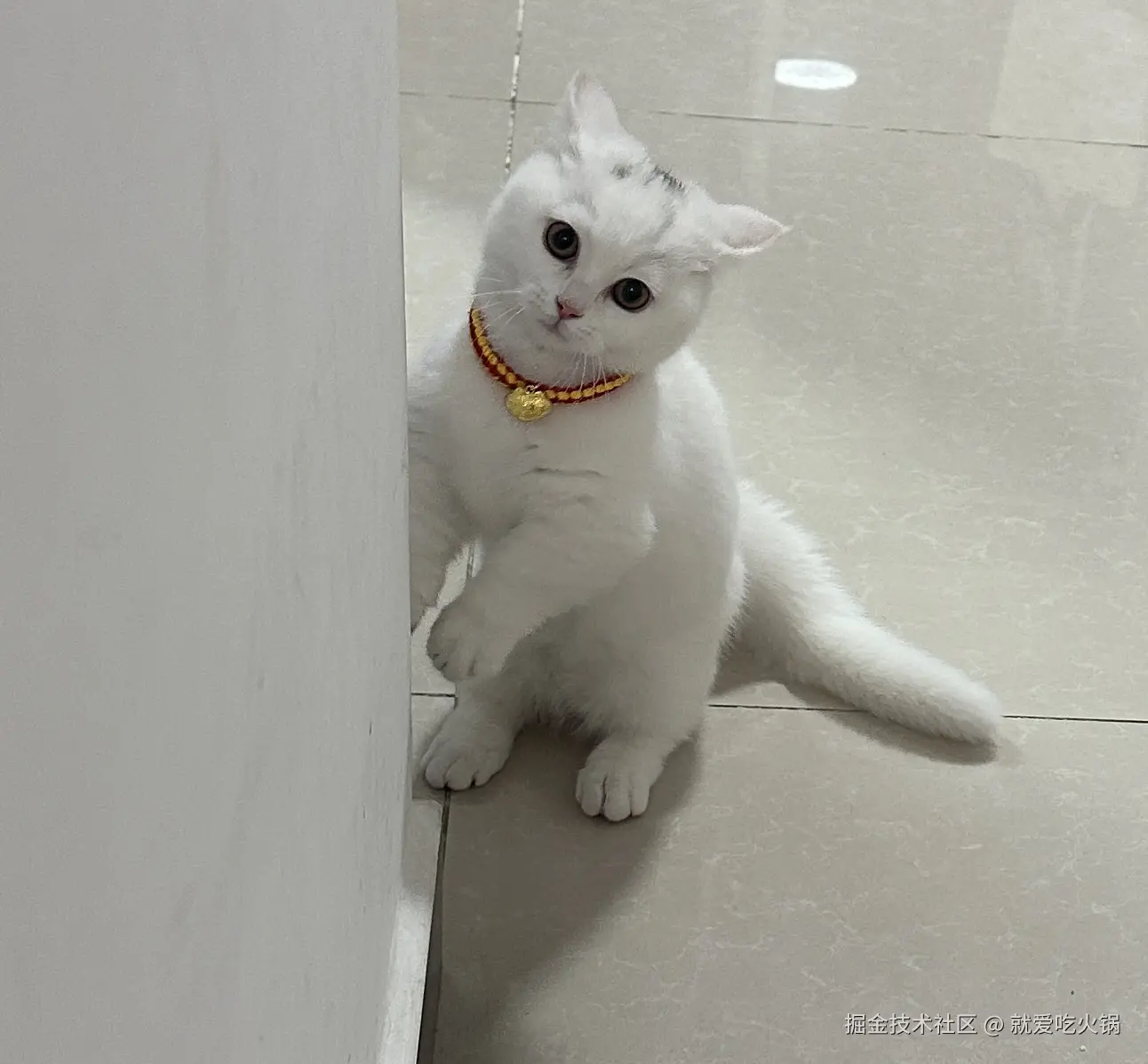 就爱吃火锅于2025-04-15 01:51发布的图片