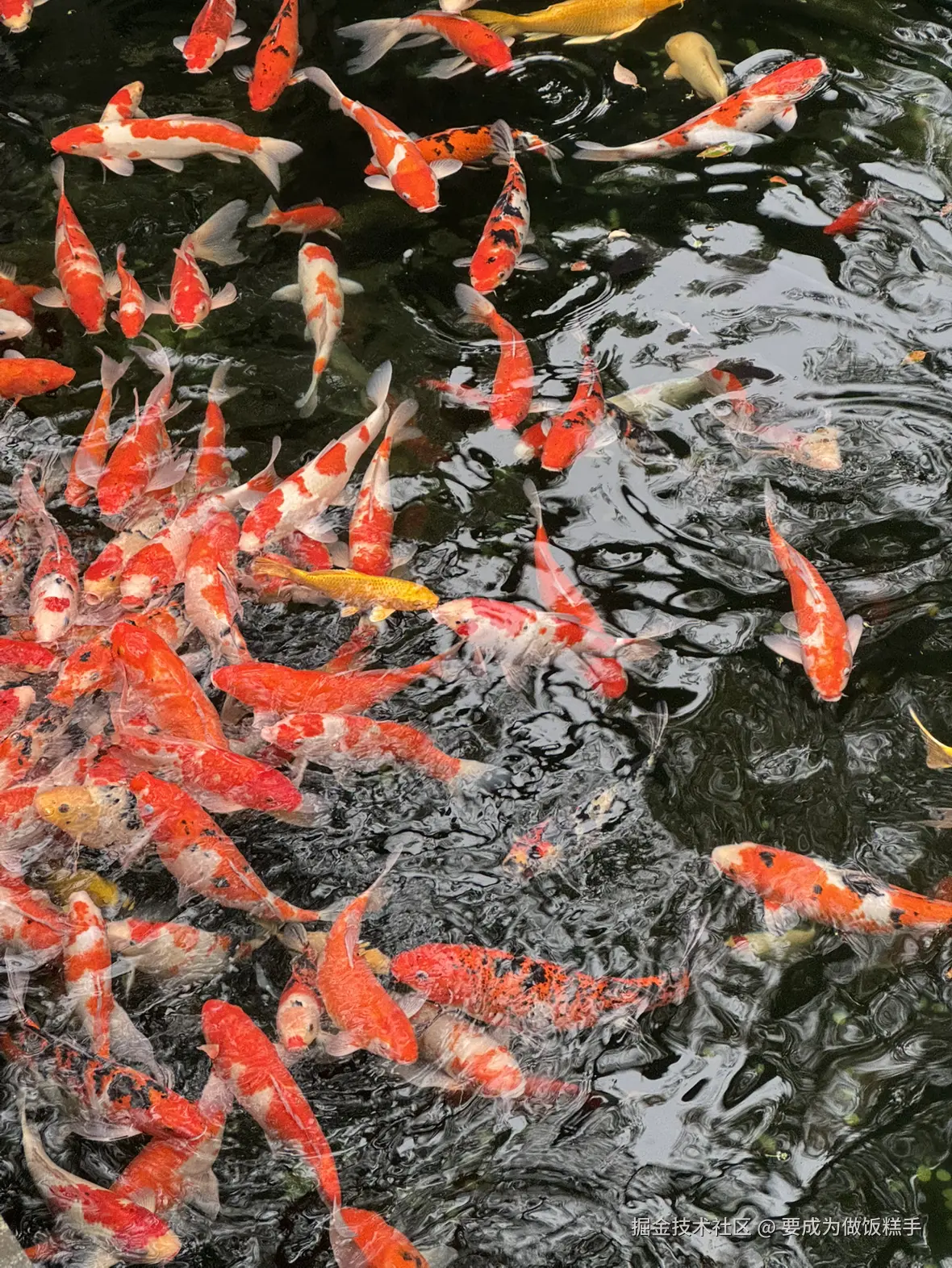 要成为做饭糕手于2025-04-07 11:34发布的图片