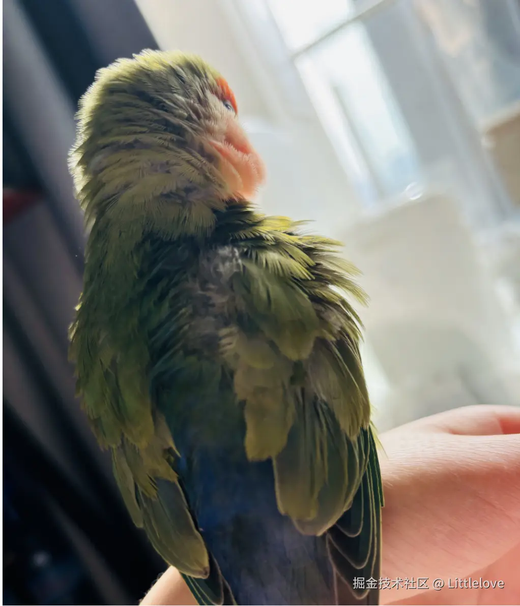 Littlelove于2024-12-06 12:01发布的图片