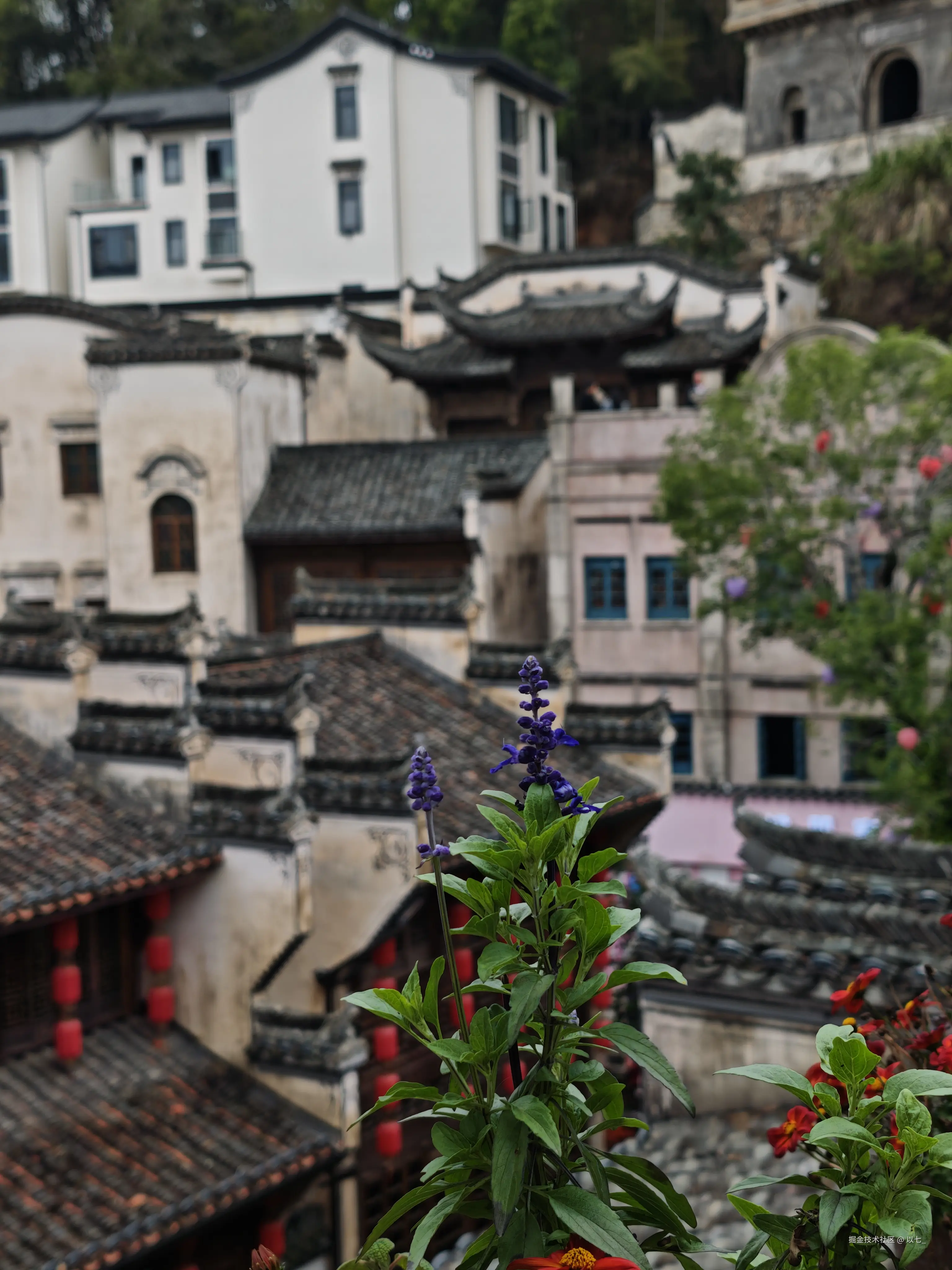 以七_于2026-03-24 11:01发布的图片