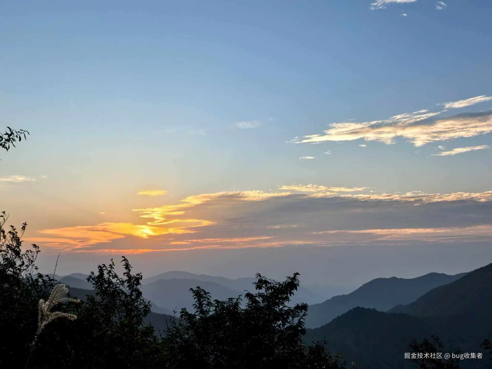 bug收集者于2025-11-03 11:16发布的图片