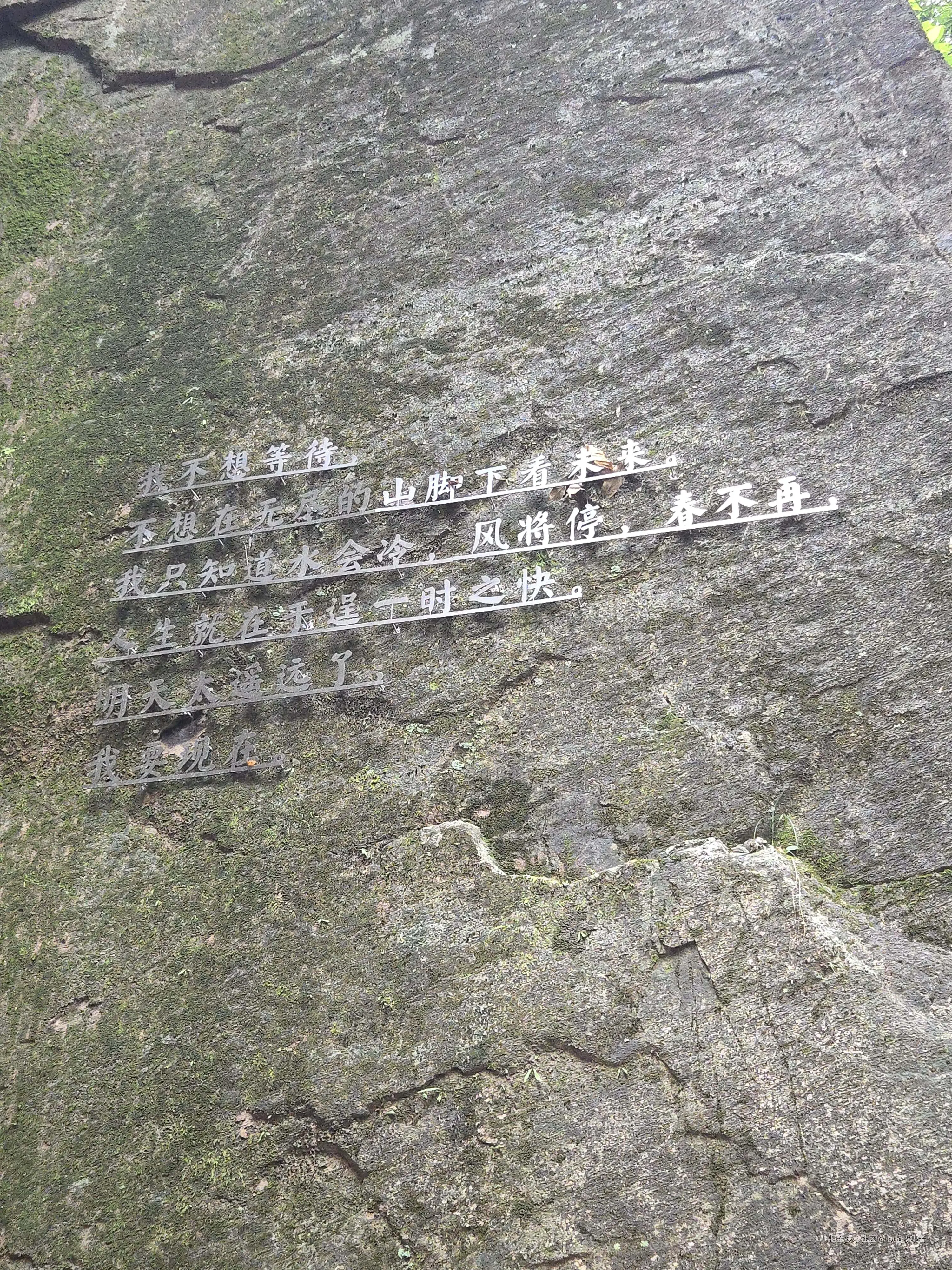 bug收集者于2024-09-02 13:48发布的图片