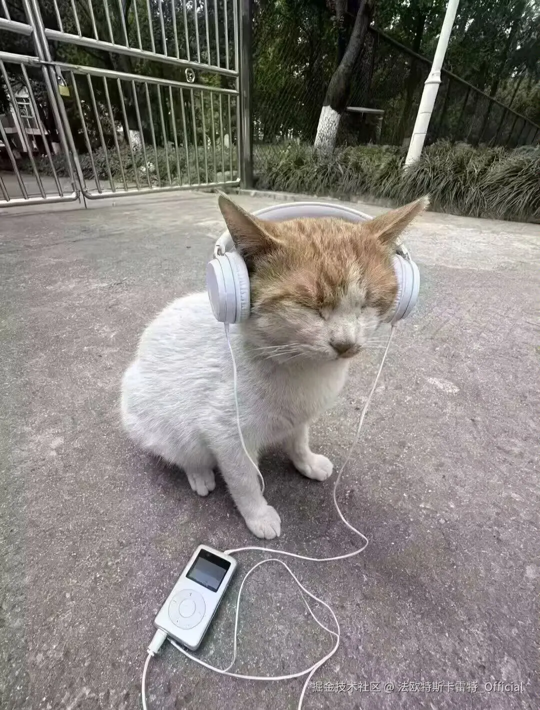 法欧特斯卡雷特_Official于2026-02-09 13:01发布的图片