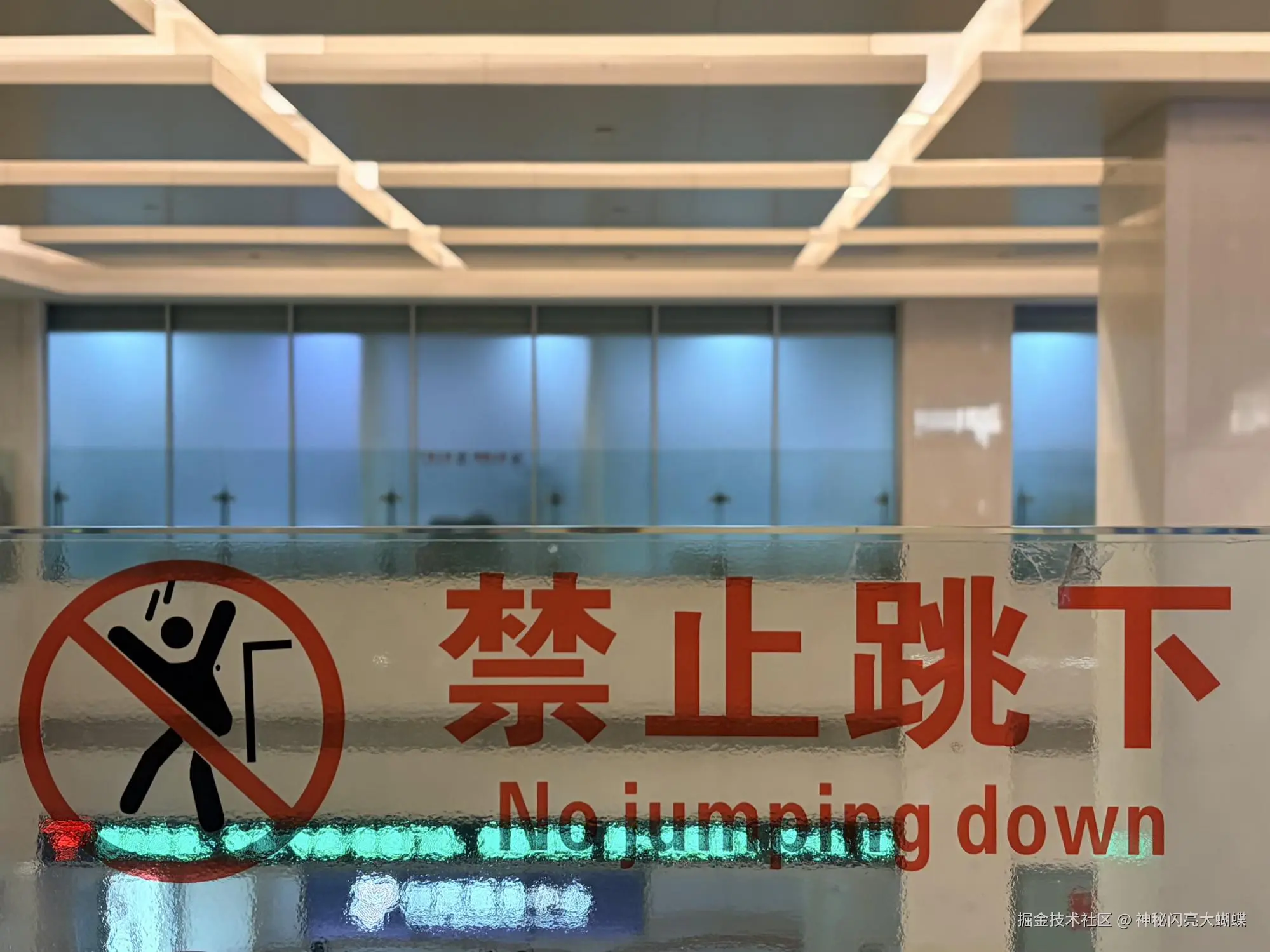 神秘闪亮大蝴蝶于2026-03-20 14:01发布的图片