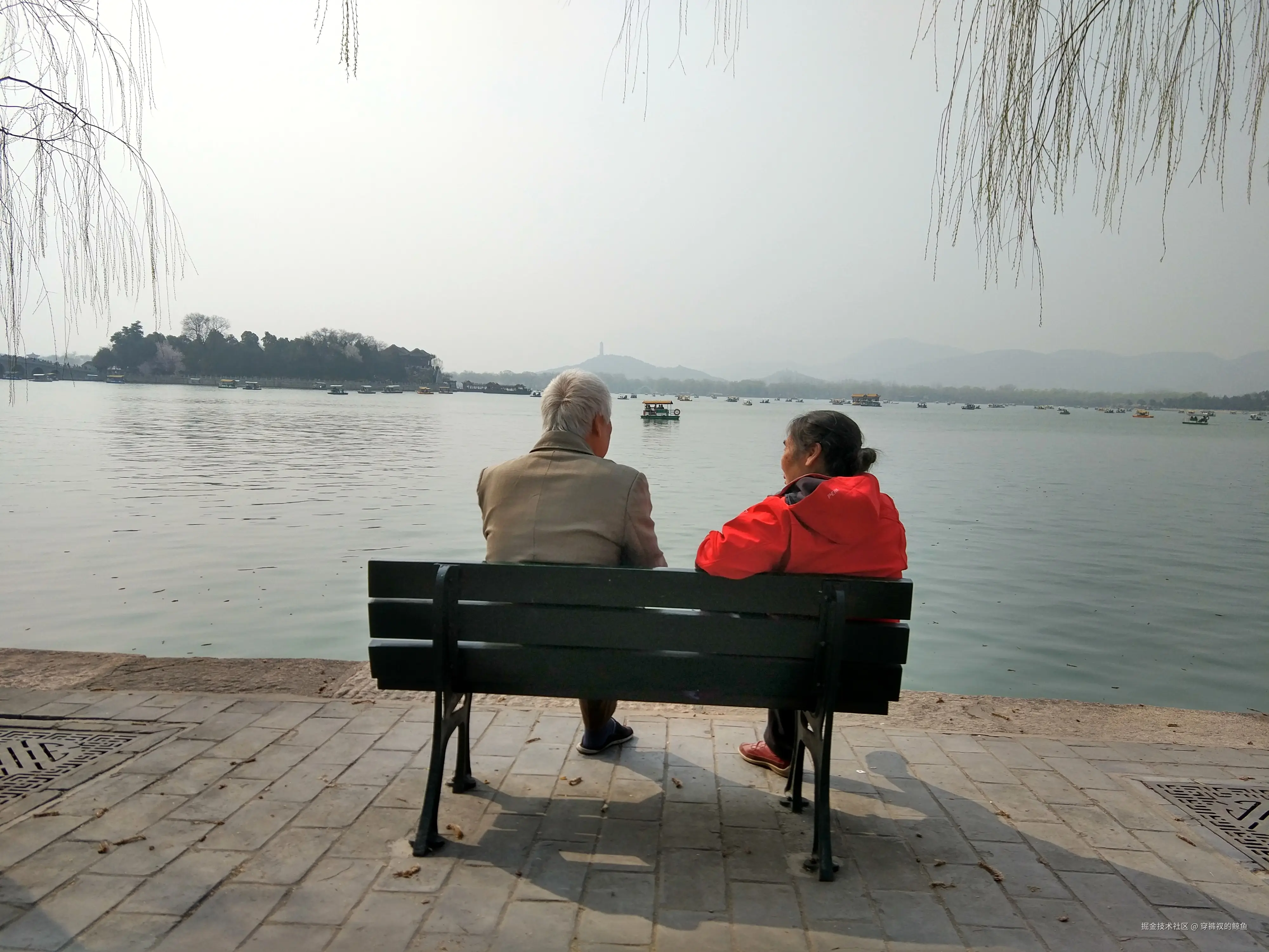 穿裤衩的鲸鱼于2024-11-18 11:28发布的图片