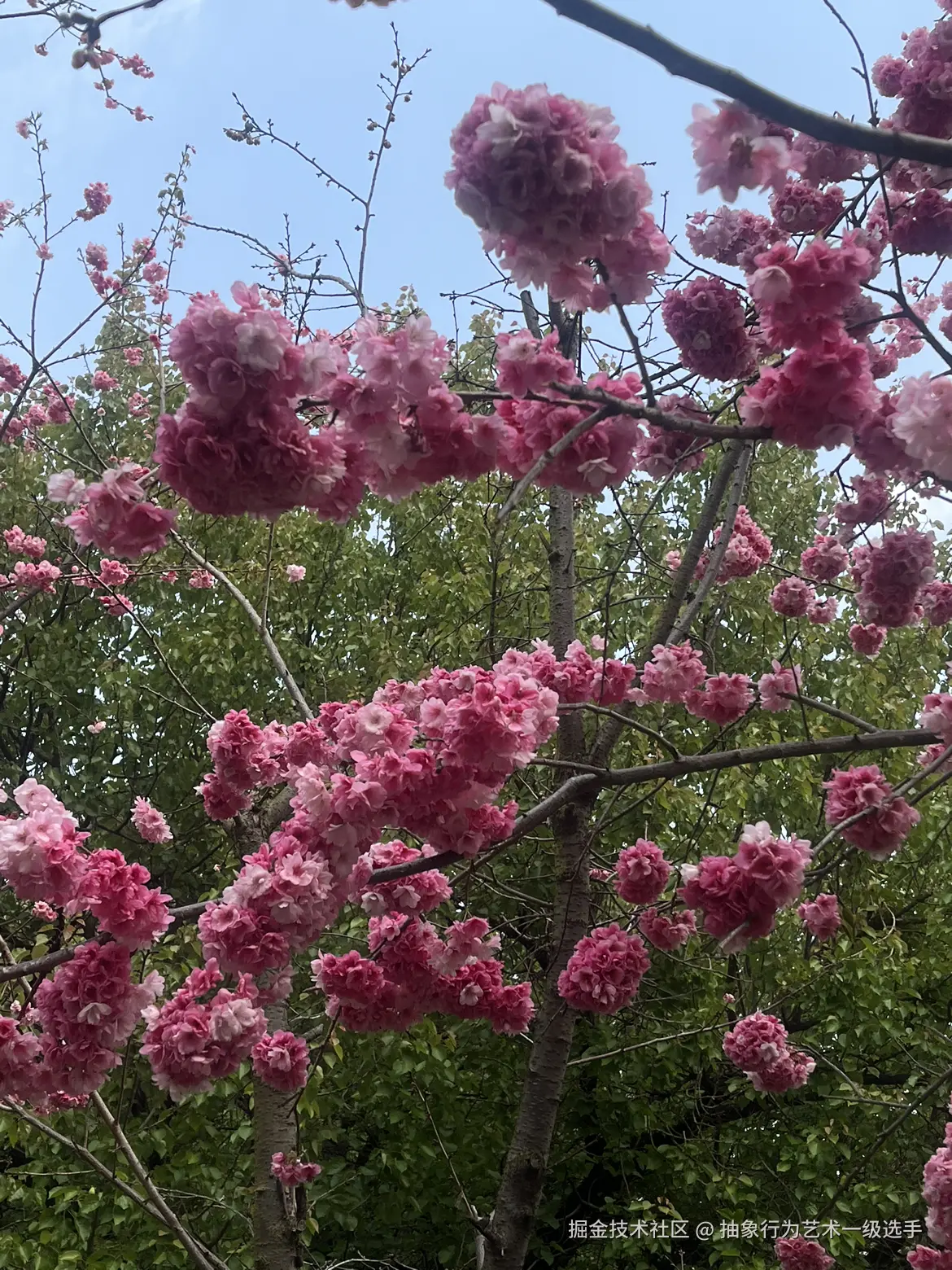 抽象行为艺术一级选手于2026-03-09 09:42发布的图片