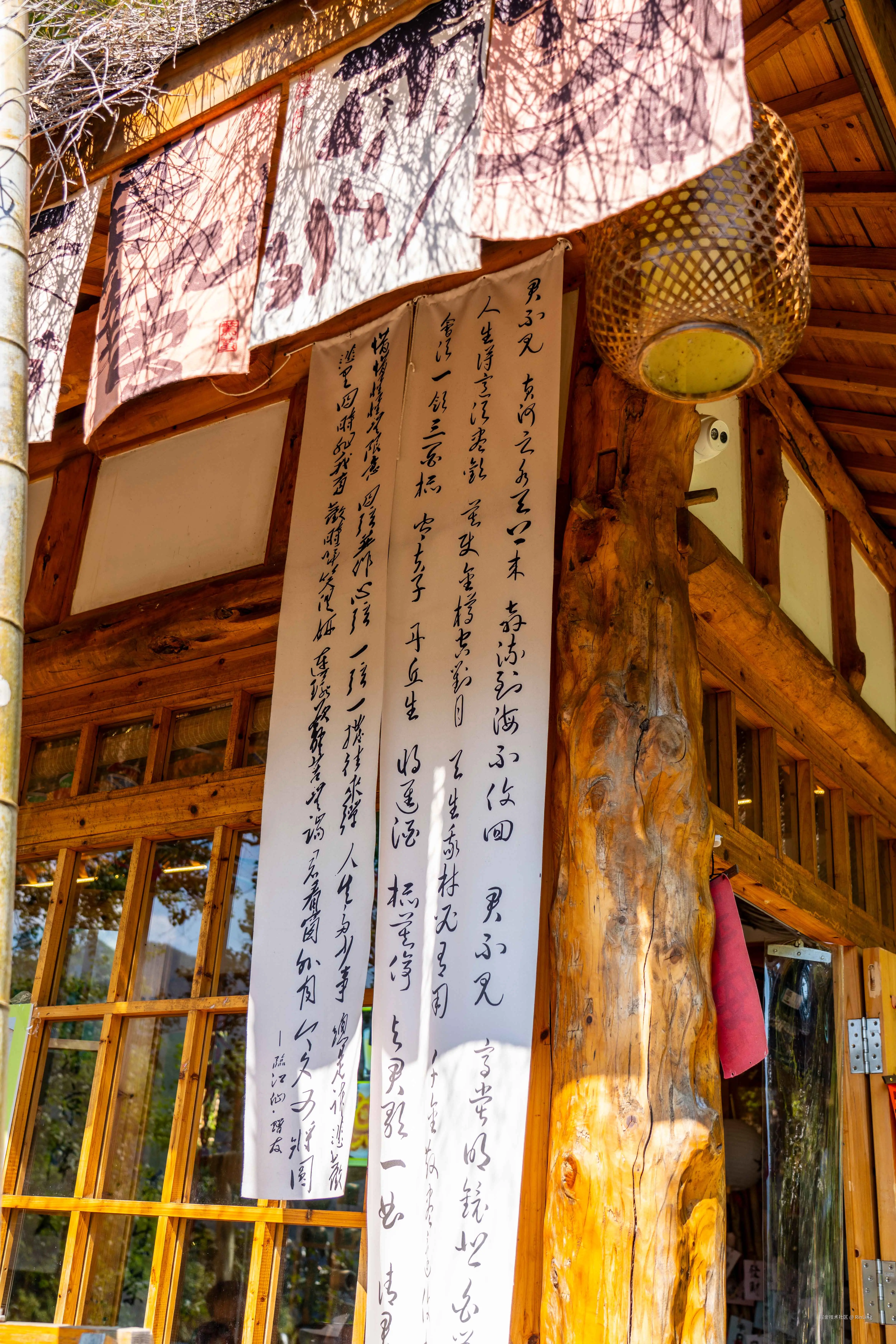 RinLing于2025-10-27 10:49发布的图片