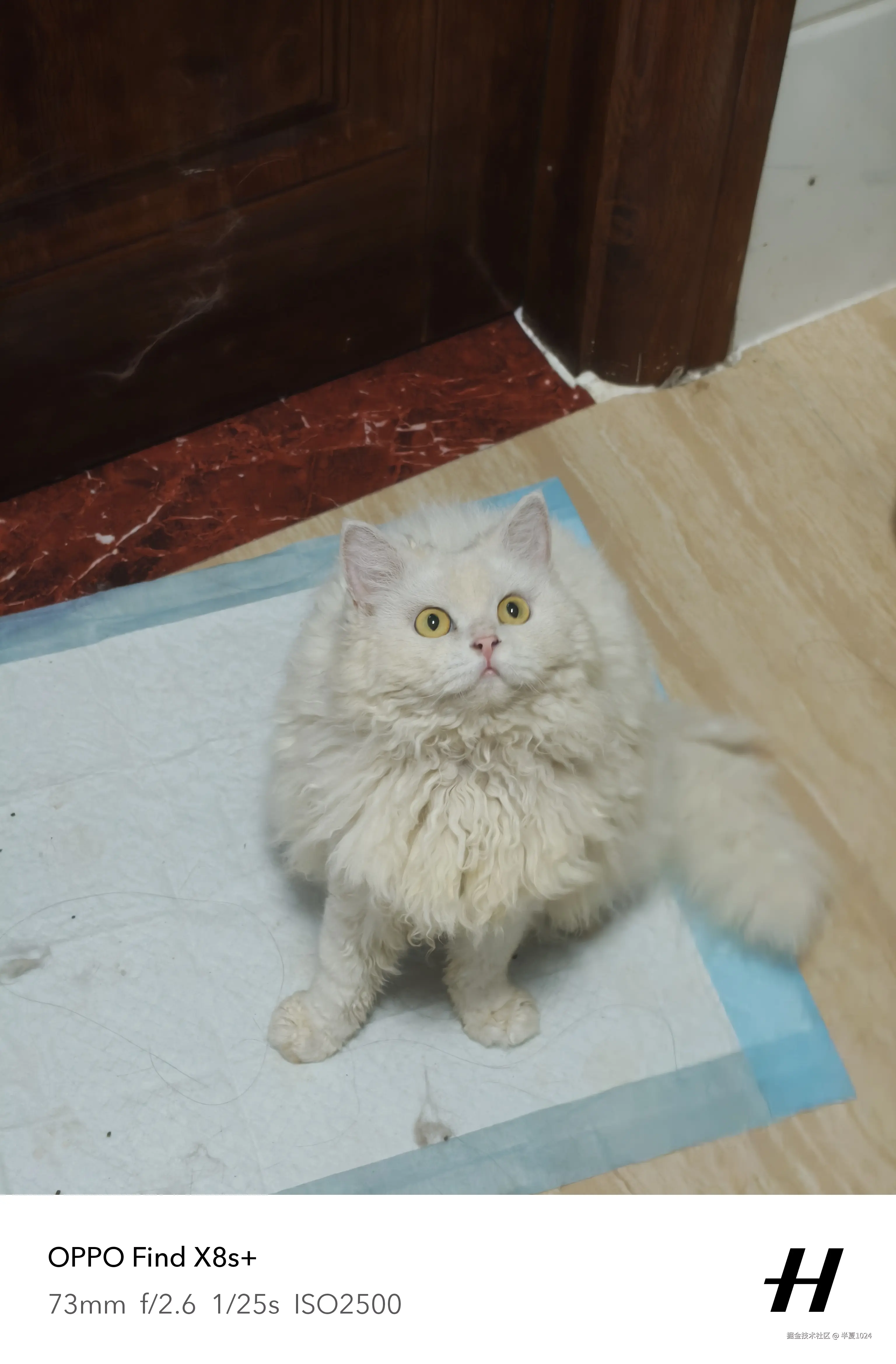 半夏1024于2025-06-23 09:42发布的图片