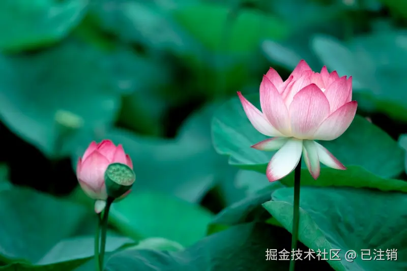 已注销于2025-07-07 12:07发布的图片