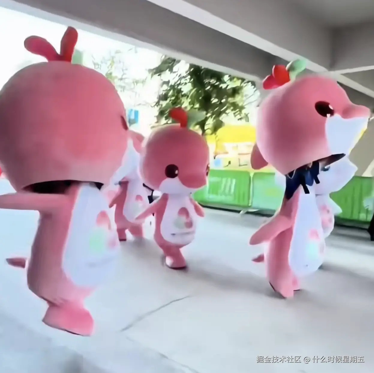 什么时候星期五于2025-11-11 16:35发布的图片