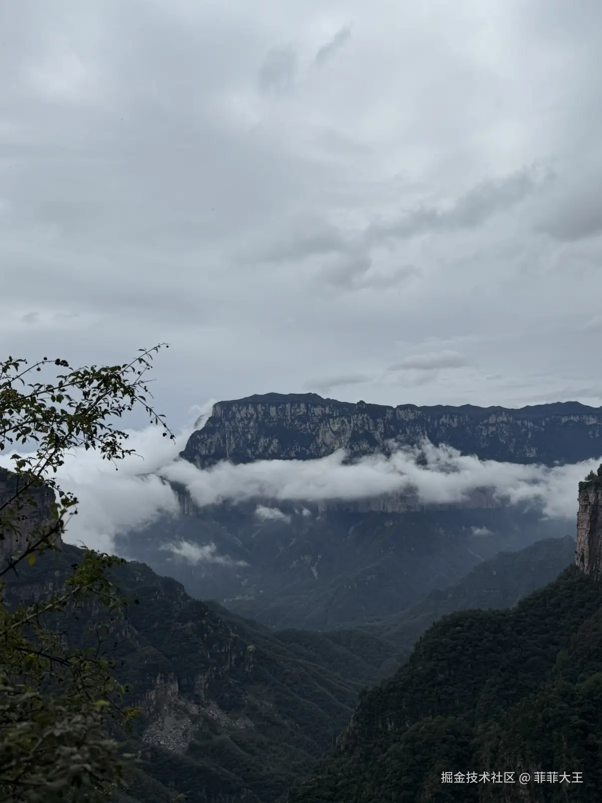 菲菲大王于2025-10-09 11:40发布的图片