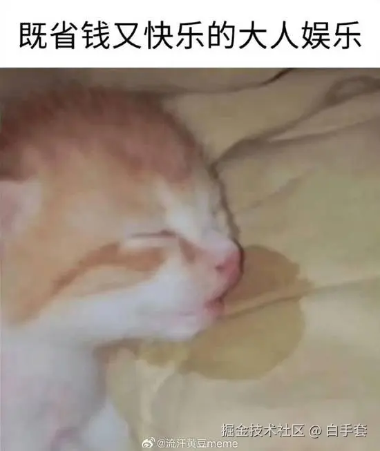 白手套于2026-01-13 15:40发布的图片