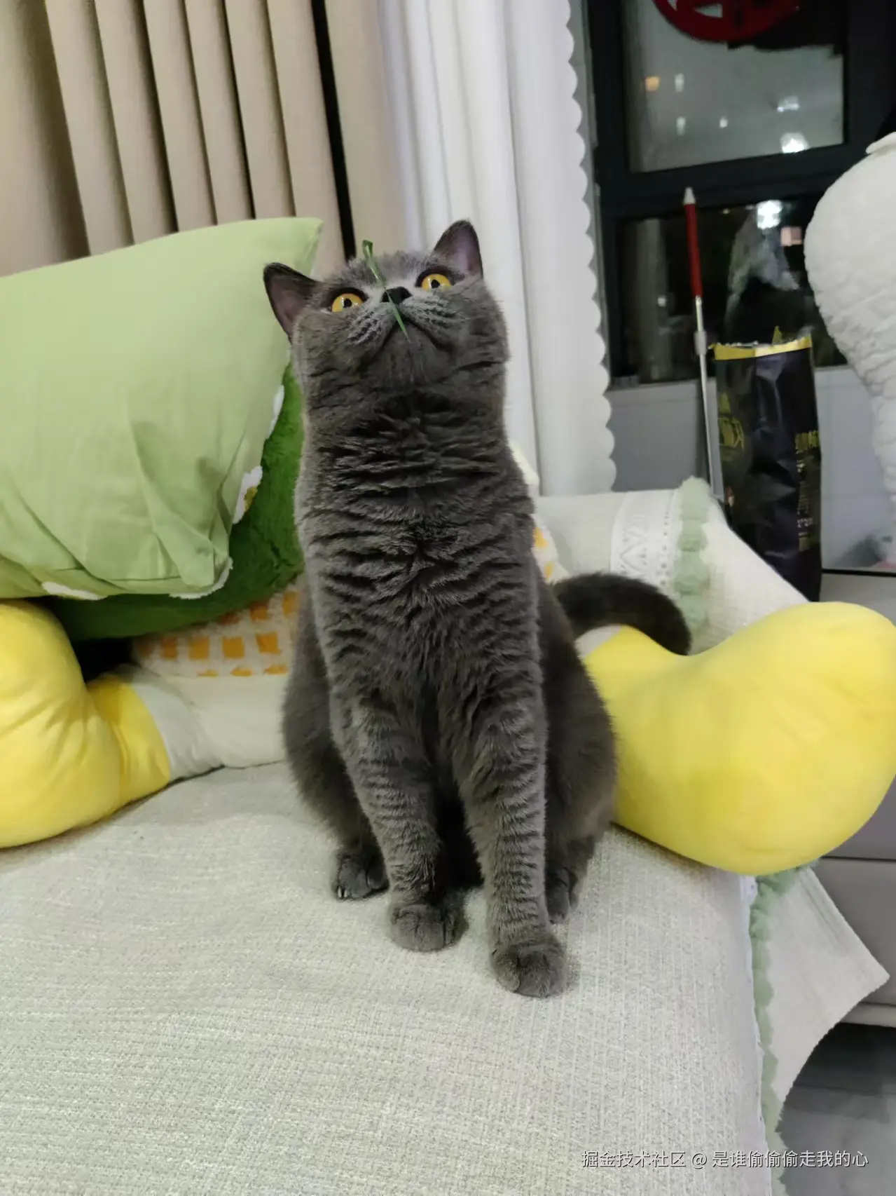 是谁偷偷偷走我的心于2024-11-18 16:27发布的图片