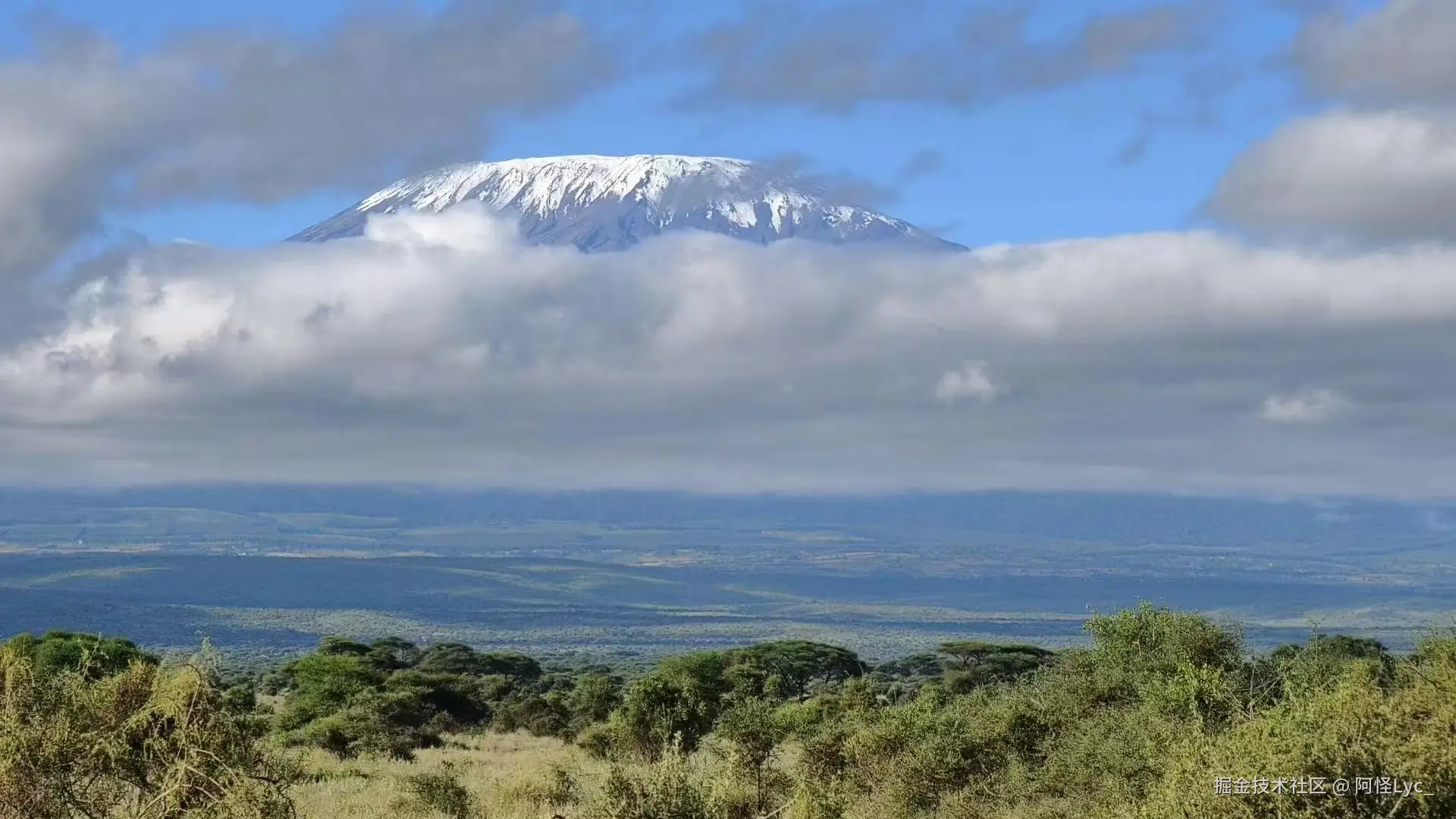阿怪Lyc_于2025-05-20 09:45发布的图片