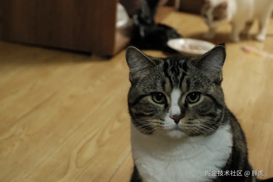 胖虎_于2024-10-22 10:09发布的图片