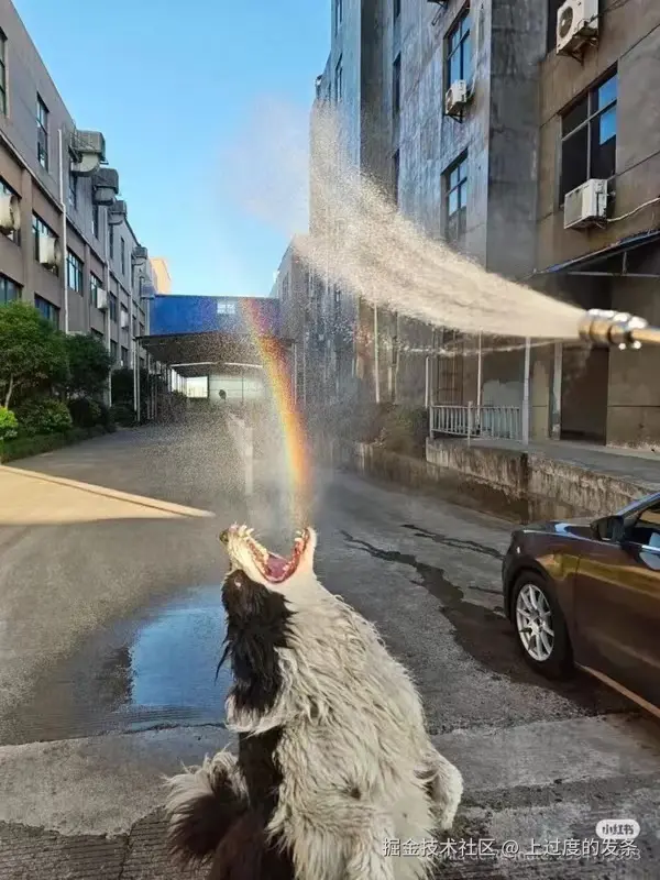 上过度的发条于2025-10-04 11:54发布的图片