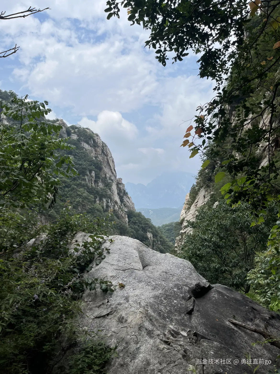 勇往直前go于2025-06-30 08:58发布的图片