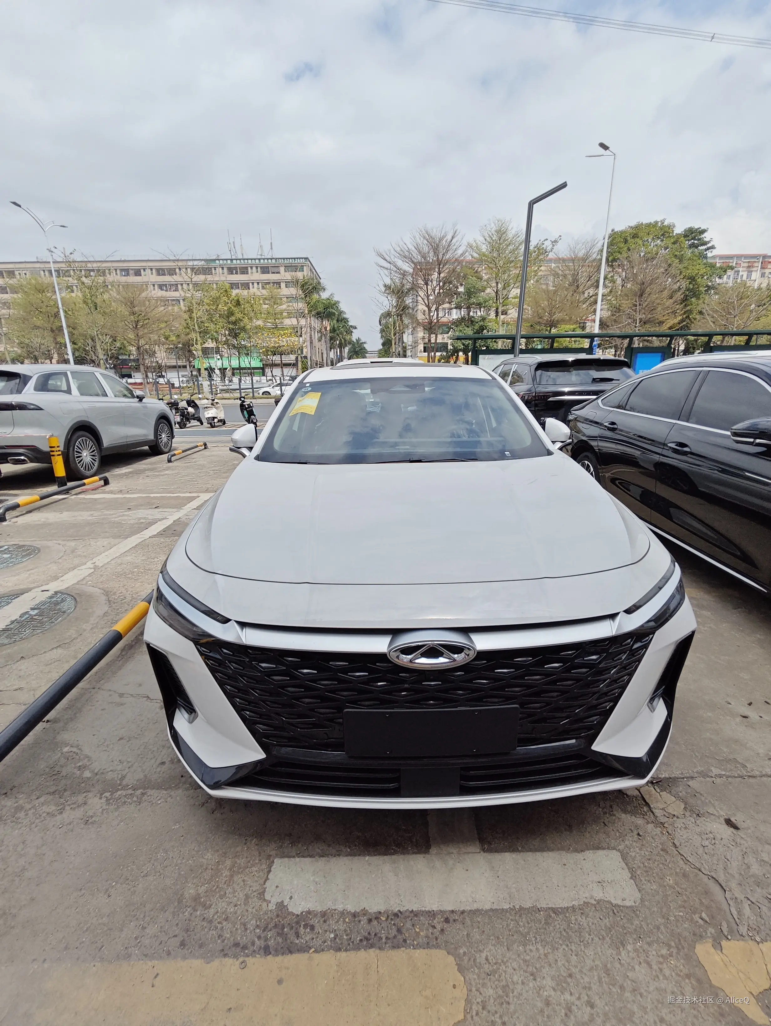 AliceQ于2025-03-25 13:12发布的图片