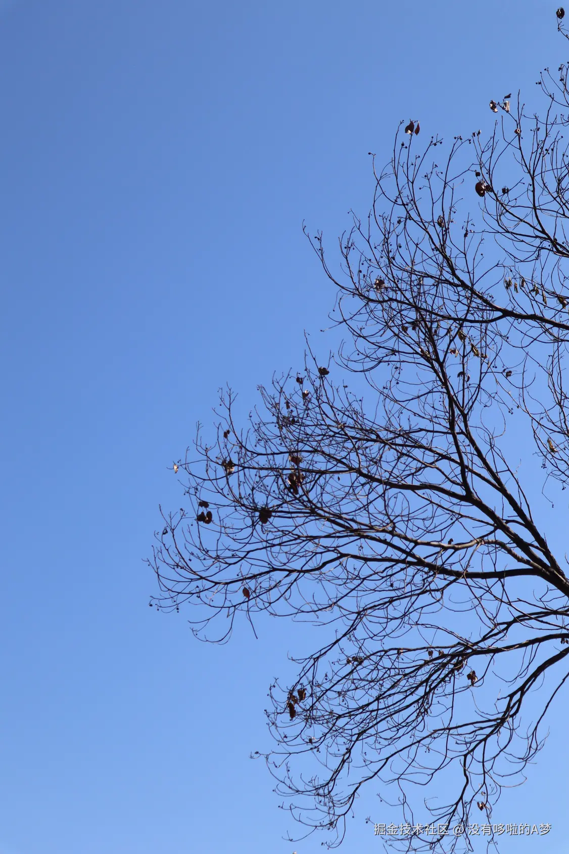 没有哆啦的A梦于2025-02-17 15:16发布的图片