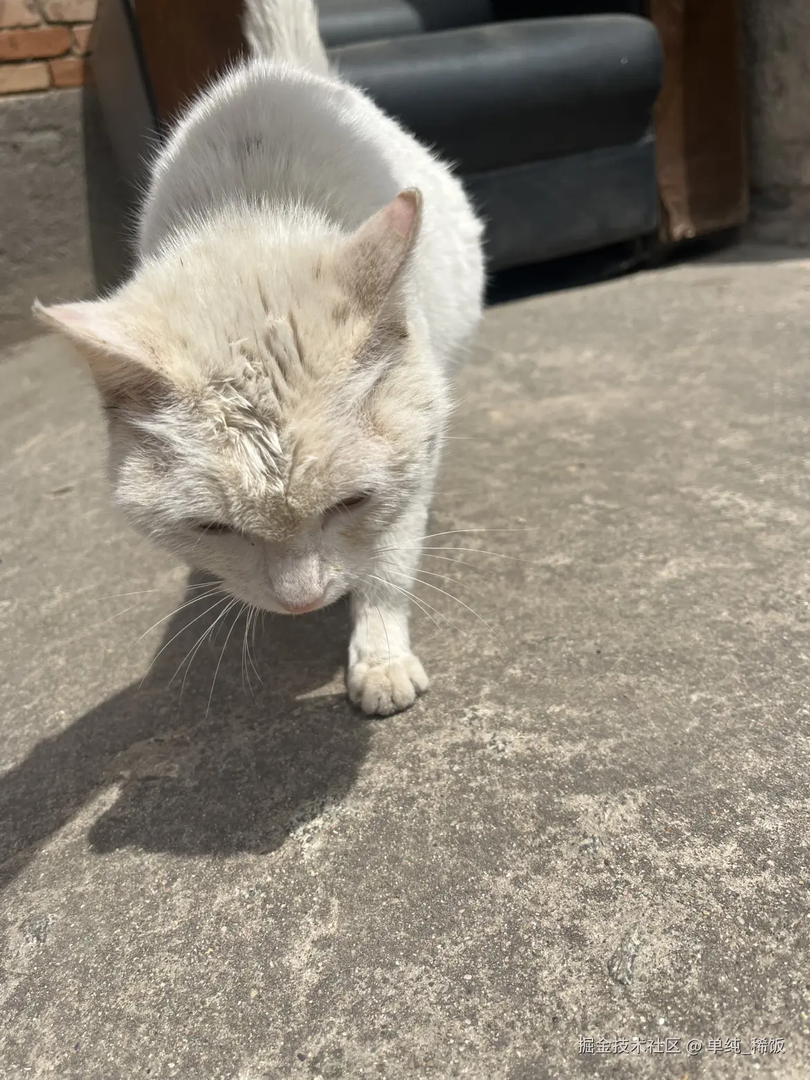 单纯_稀饭于2025-04-25 12:03发布的图片