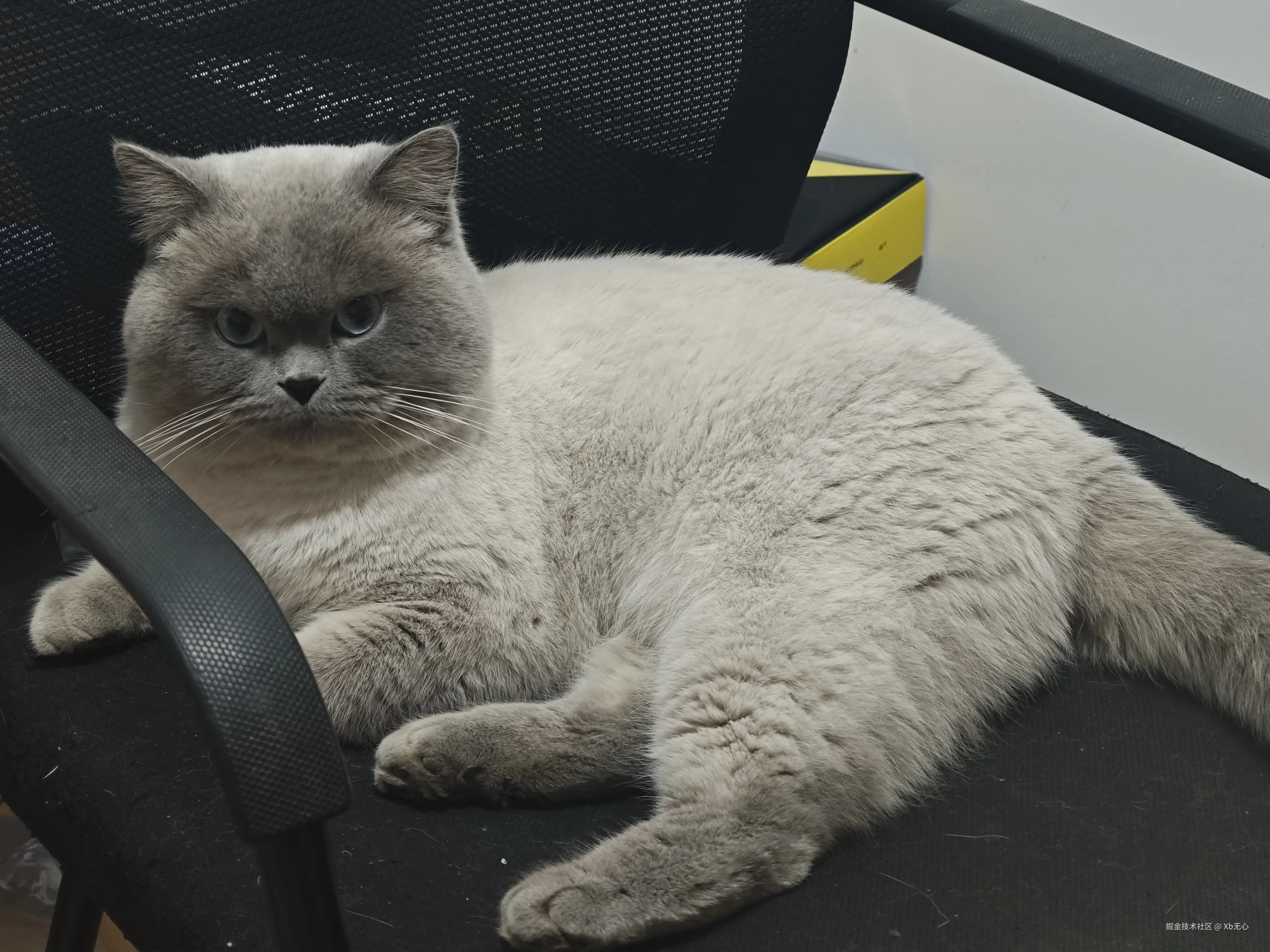 Xb无心于2025-04-03 01:32发布的图片