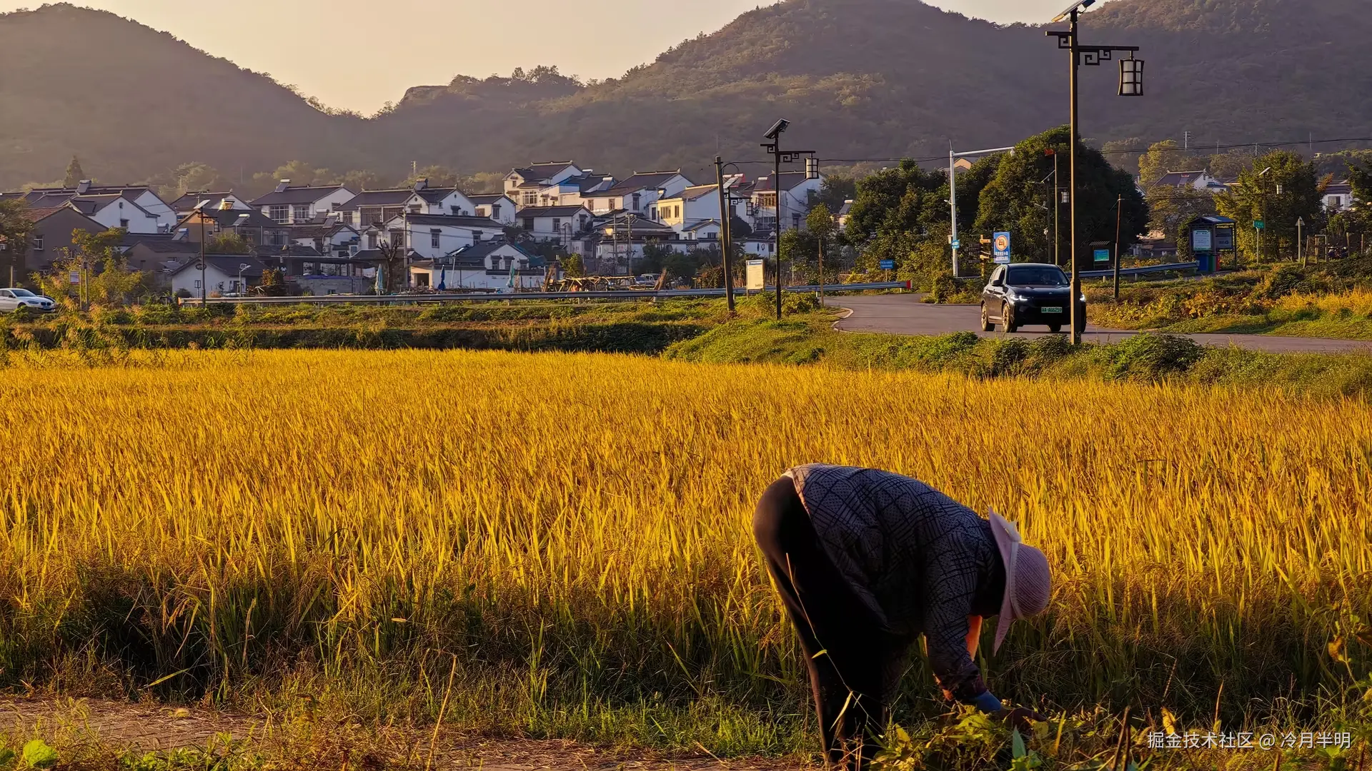 冷月半明于2024-10-24 10:21发布的图片