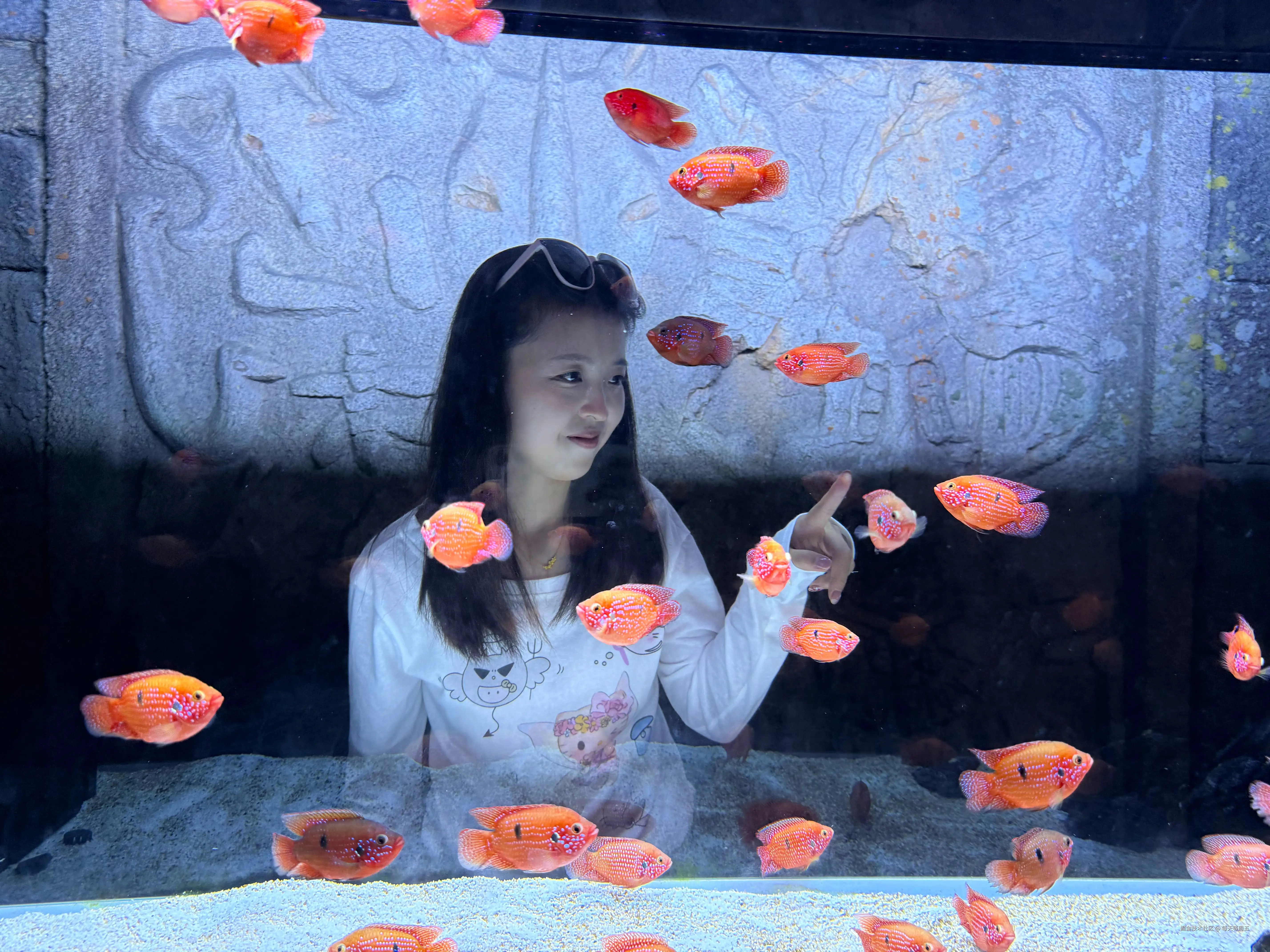 每天等周五于2025-08-25 17:16发布的图片