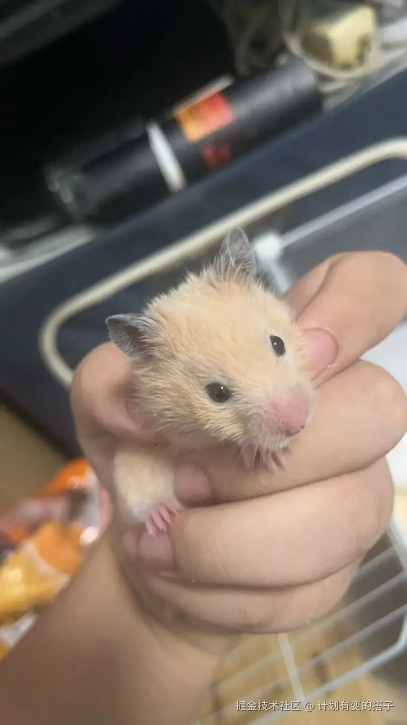 计划有变的搭子于2025-09-02 09:13发布的图片