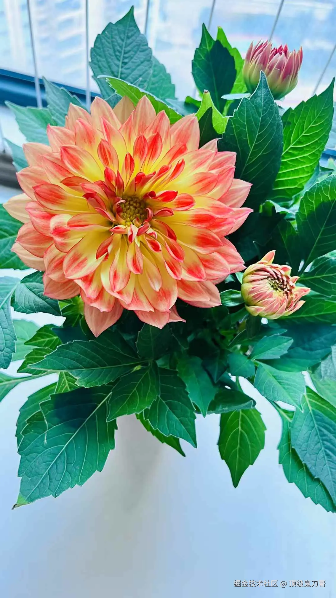 顶级鬼刀哥于2025-02-17 11:17发布的图片