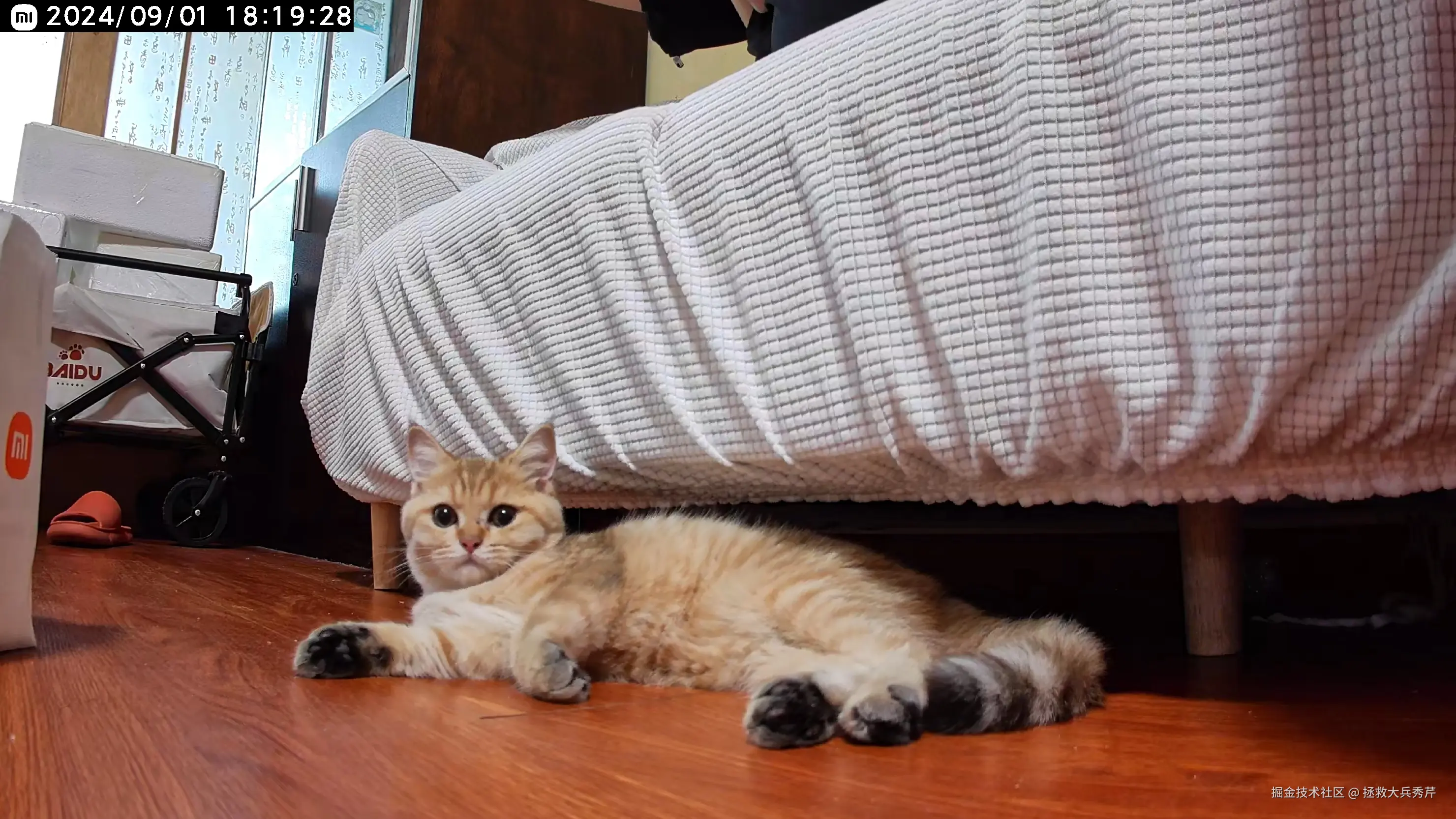 拯救大兵秀芹于2024-11-22 11:46发布的图片